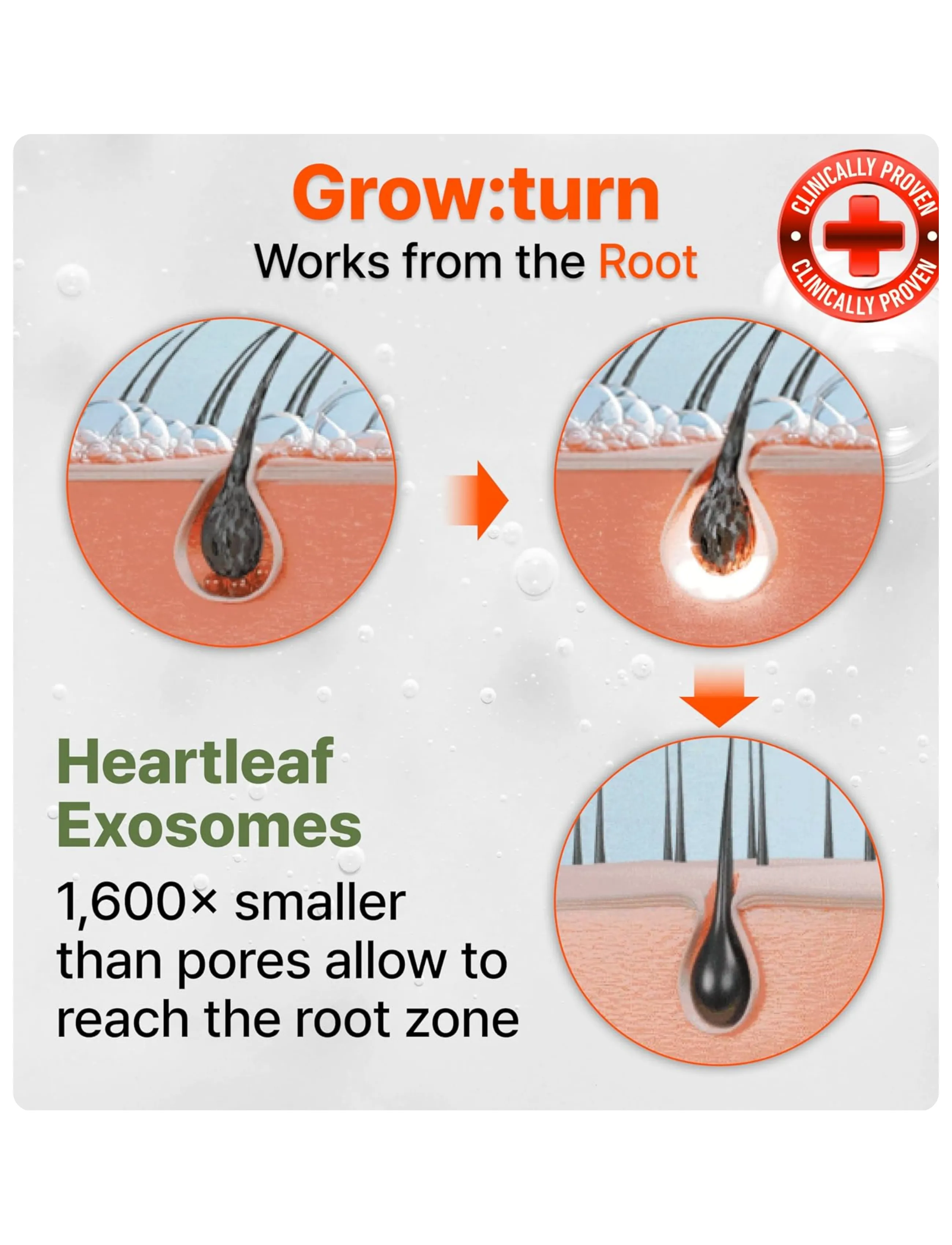 Lilyeve - Grow:Turn Exosome 3D Volume Shampoo - shampoo - clear - 3