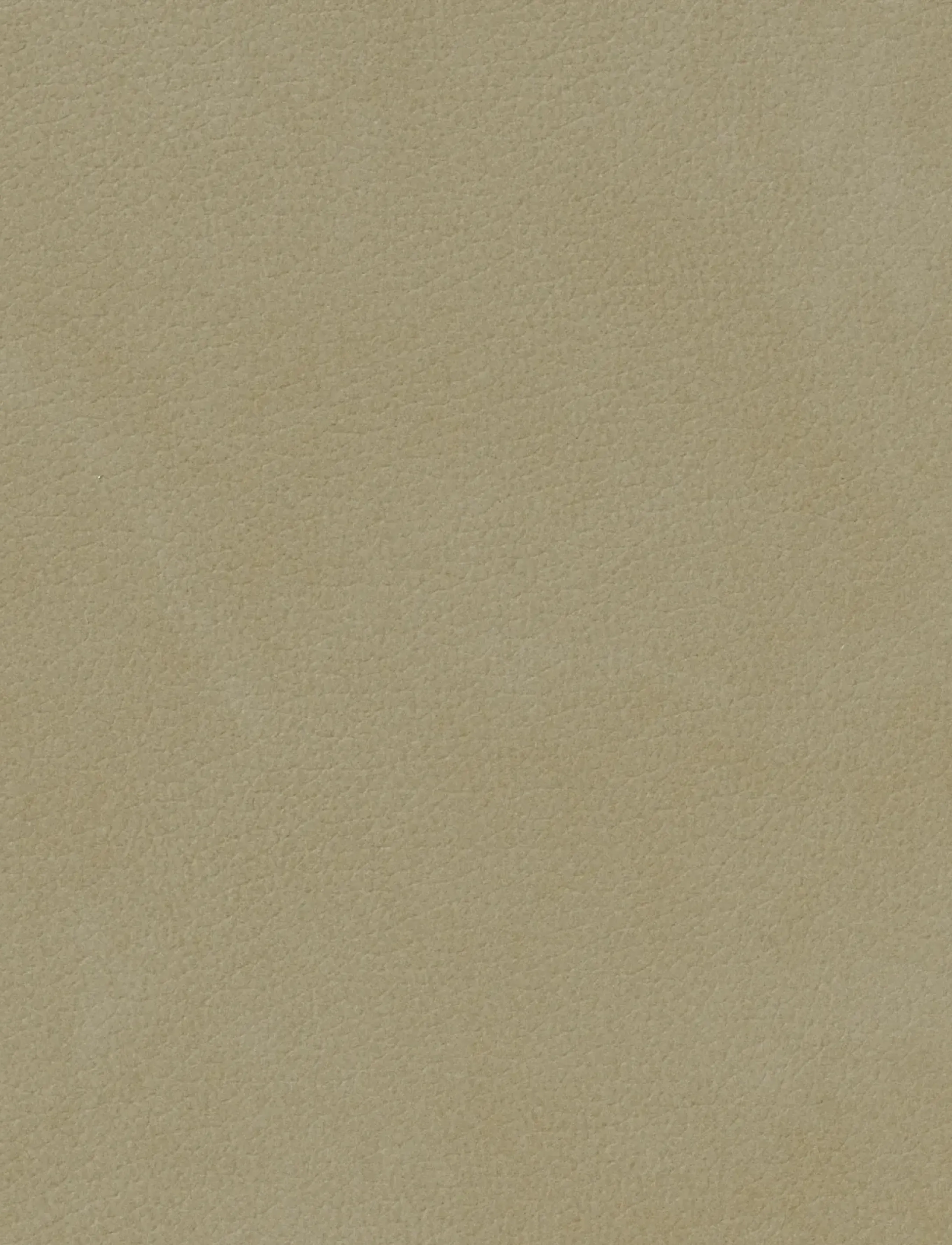 LIND DNA - 4-Set Table Mat Curve Nupo - dækkeservietter - herbal dust - 5