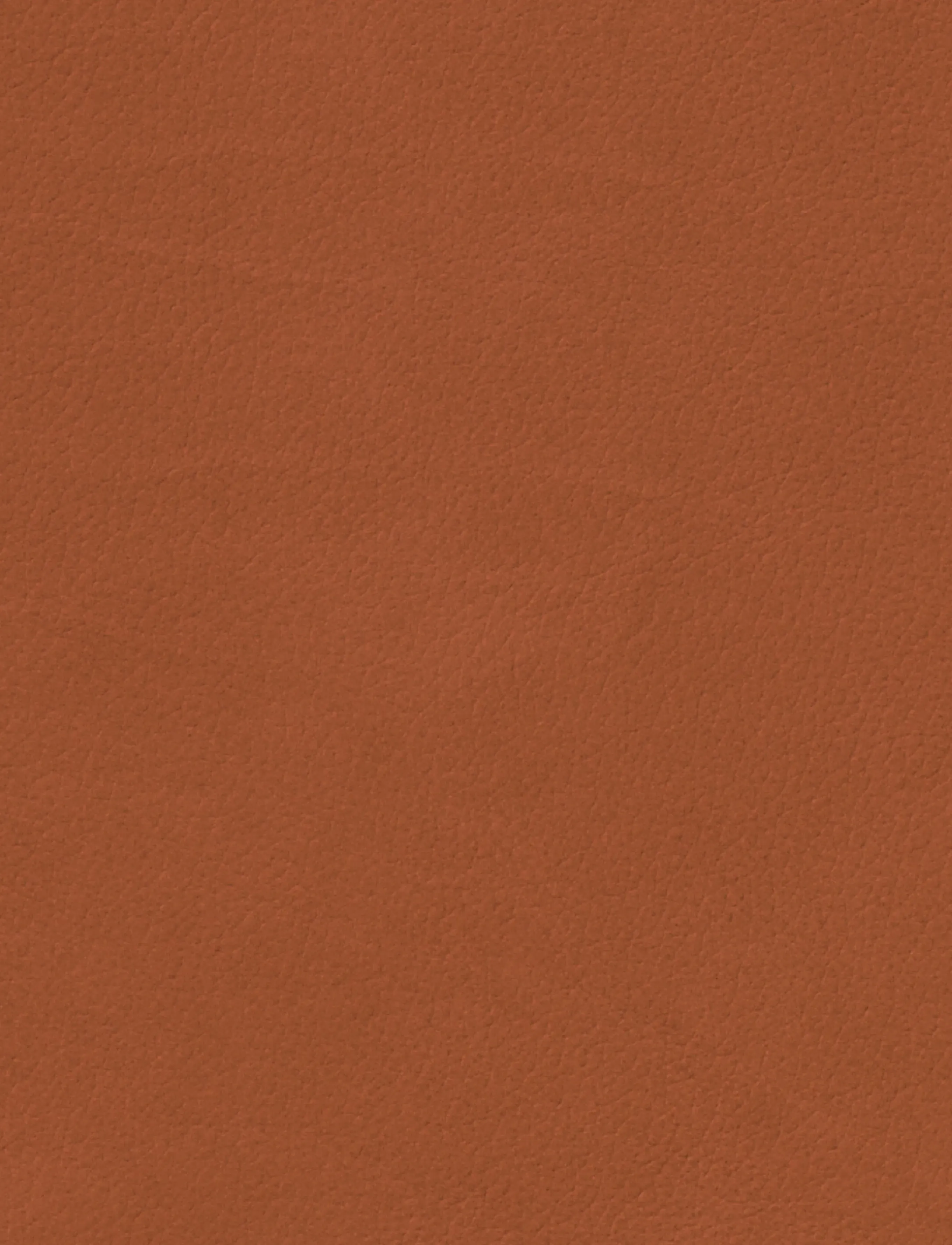 LIND DNA - 4-Set Table Mat Square L Nupo Rust - placemats - nupo rust - 2