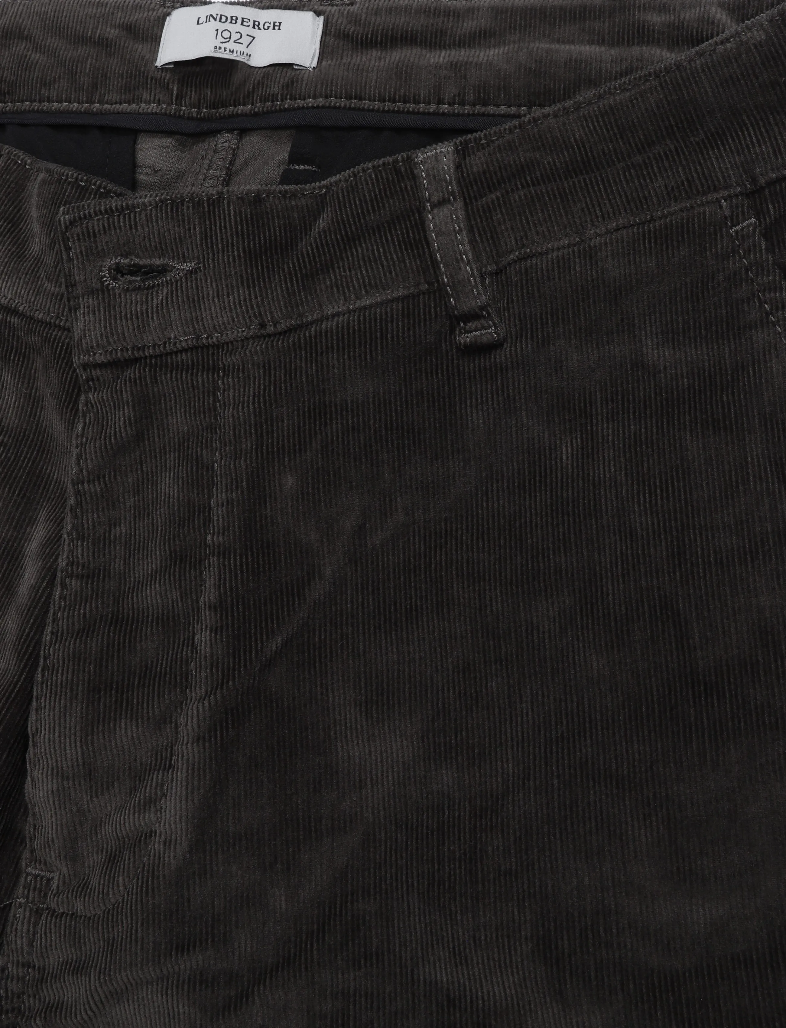 Lindbergh Black - 1927: Superflex cashmere touch chino corduroy pants - chinos - black olive - 2