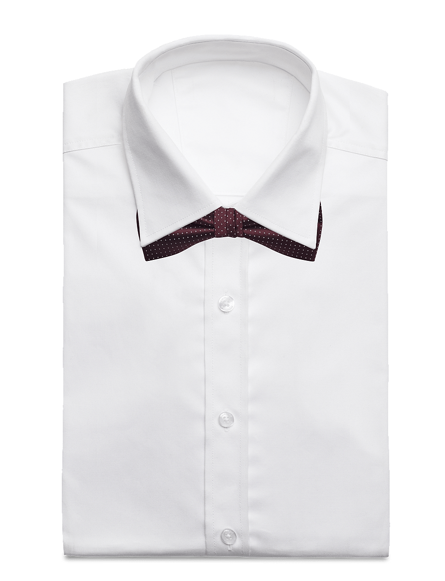 Lindbergh Black - Polyester bow tie with dotsPolyester bow tie with dots - fliegen - bordeaux - 4