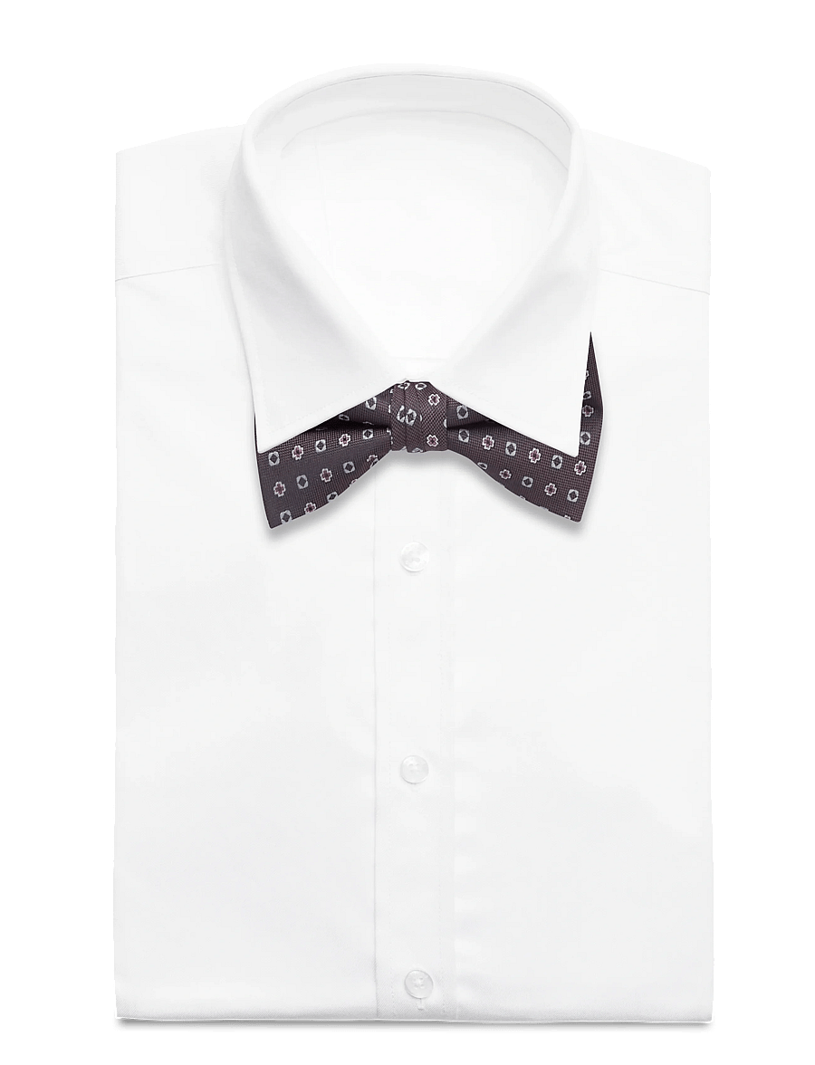 Lindbergh Black - Mini pattern bow tie - kikilipsud - brown - 2