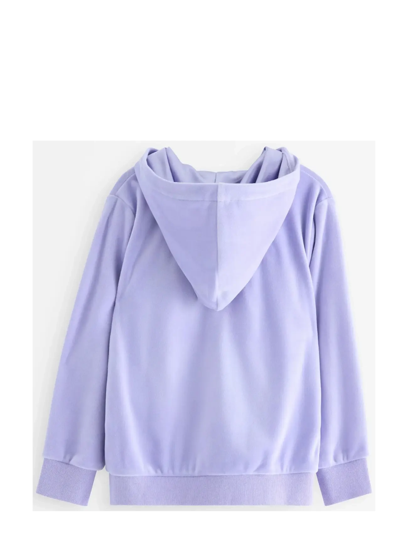 Lindex - Hoodie in velour - bluzy z kapturem - light blue - 2
