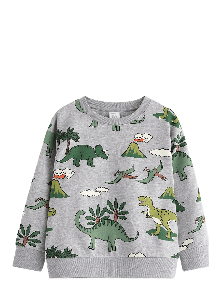 Lindex - Sweatshirt DINO aop - dressipluusid - grey melange - 0