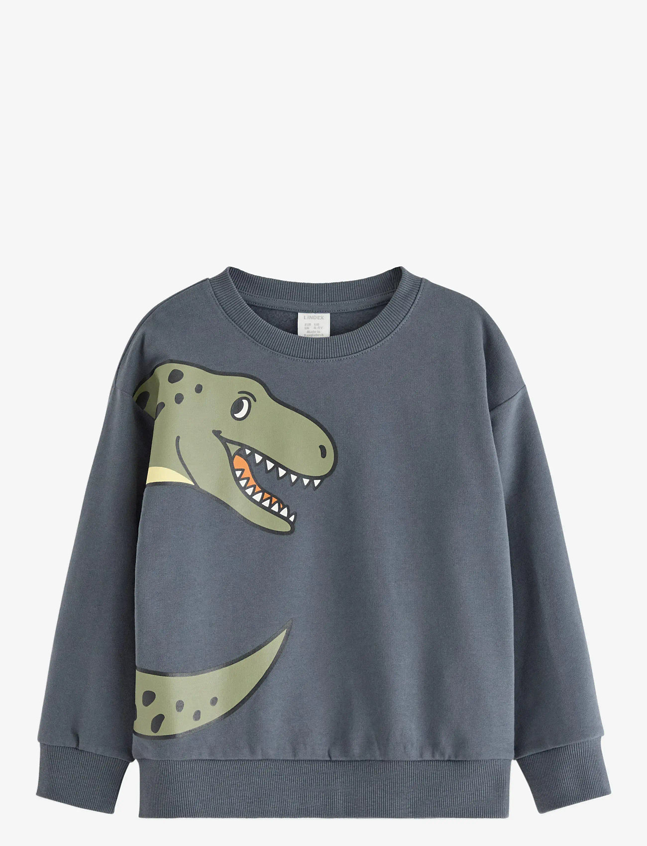 Lindex - Sweatshirt DINO placement - sweatshirts - dark grey - 0