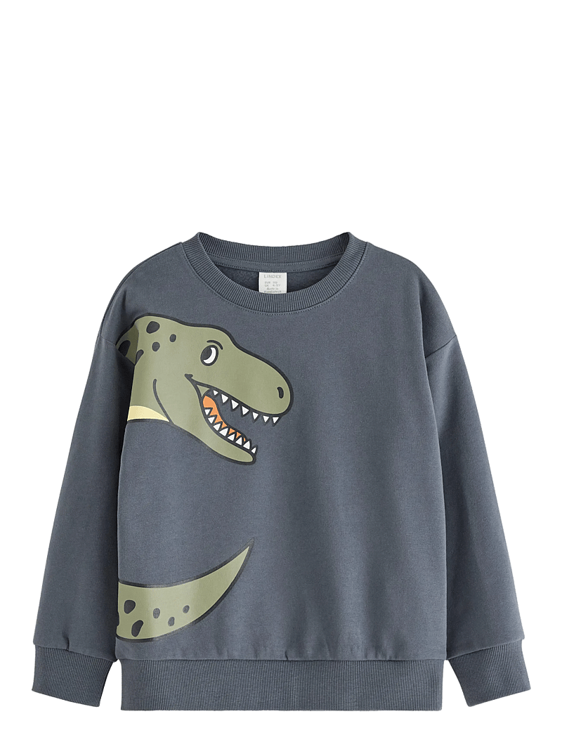 Lindex - Sweatshirt DINO placement - sweatshirts - dark grey - 0
