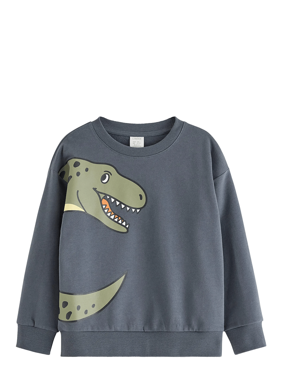 Lindex - Sweatshirt DINO placement - dressipluusid - dark grey - 0