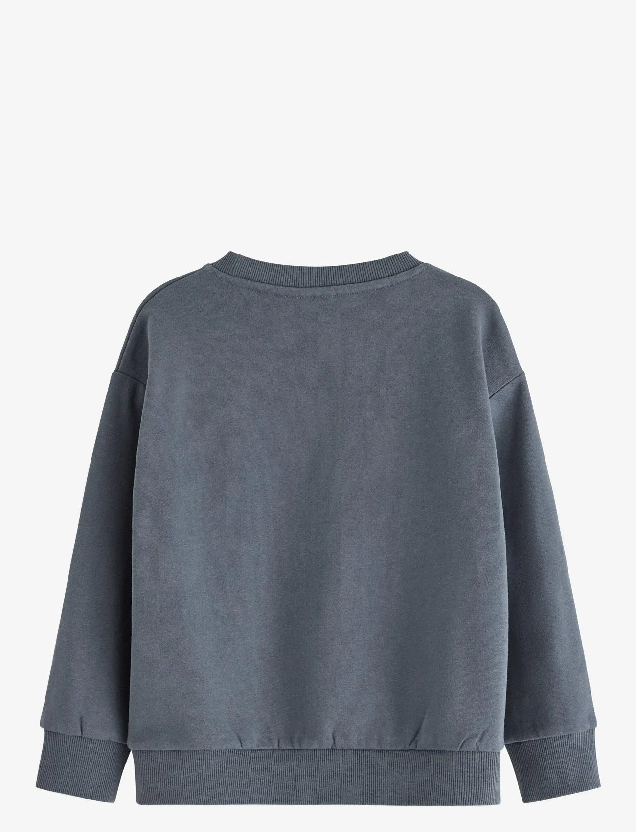 Lindex - Sweatshirt DINO placement - sweatshirts - dark grey - 1