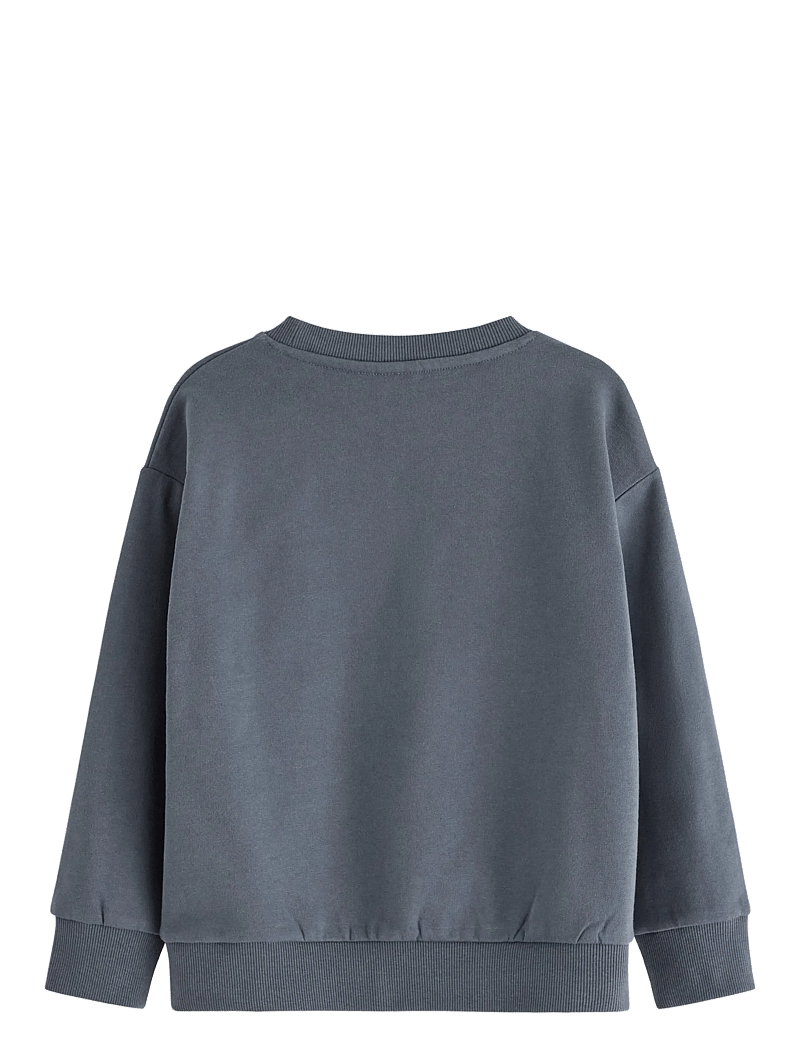 Lindex - Sweatshirt DINO placement - sweatshirts - dark grey - 1