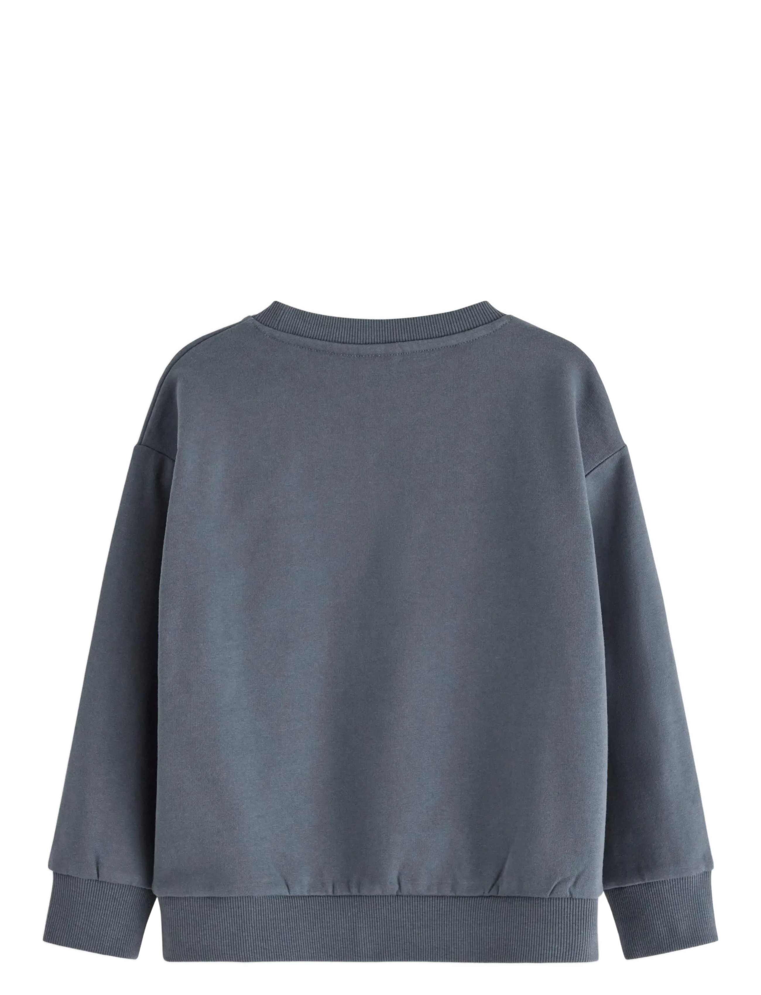 Lindex - Sweatshirt DINO placement - sweatshirts - dark grey - 1