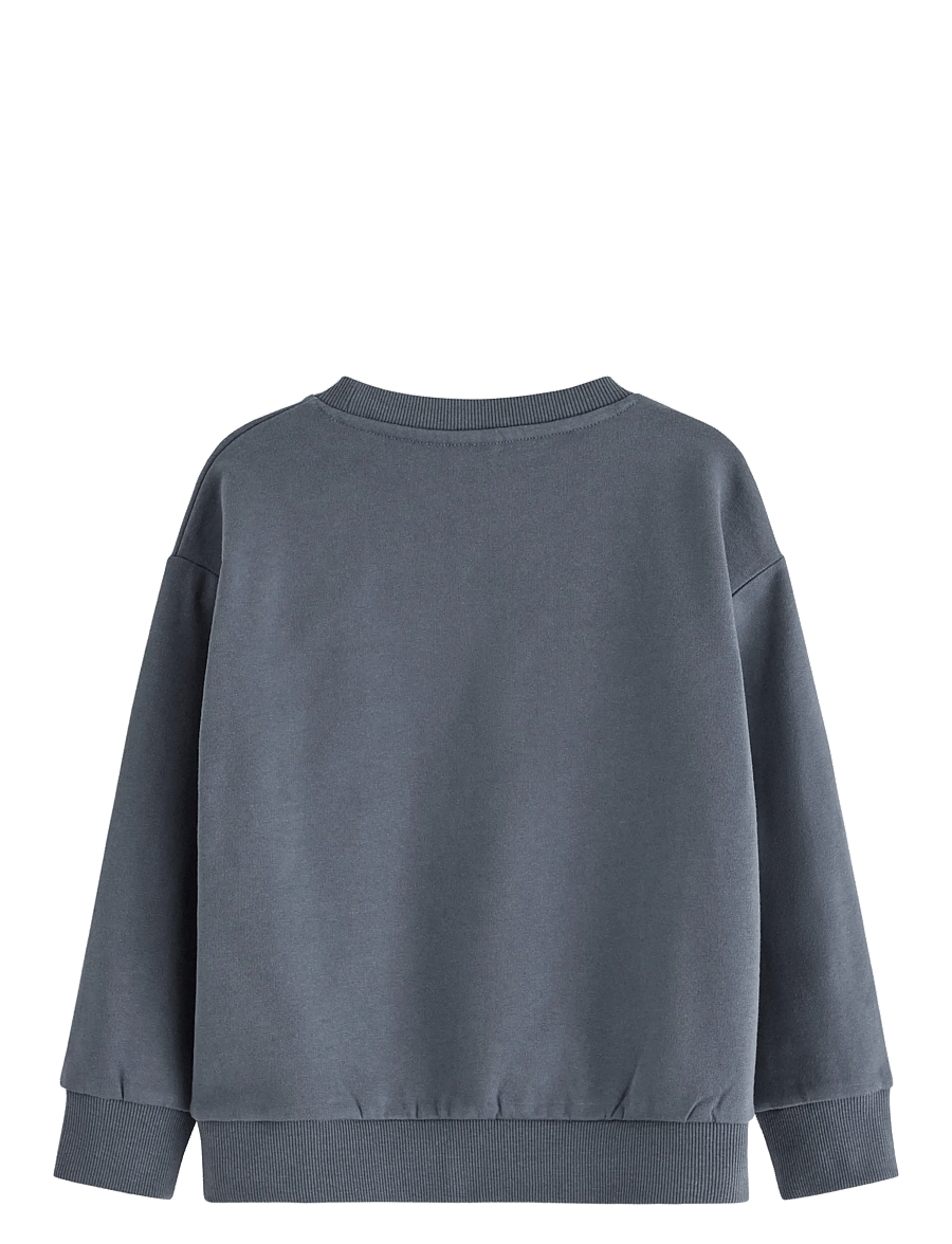 Lindex - Sweatshirt DINO placement - dressipluusid - dark grey - 1
