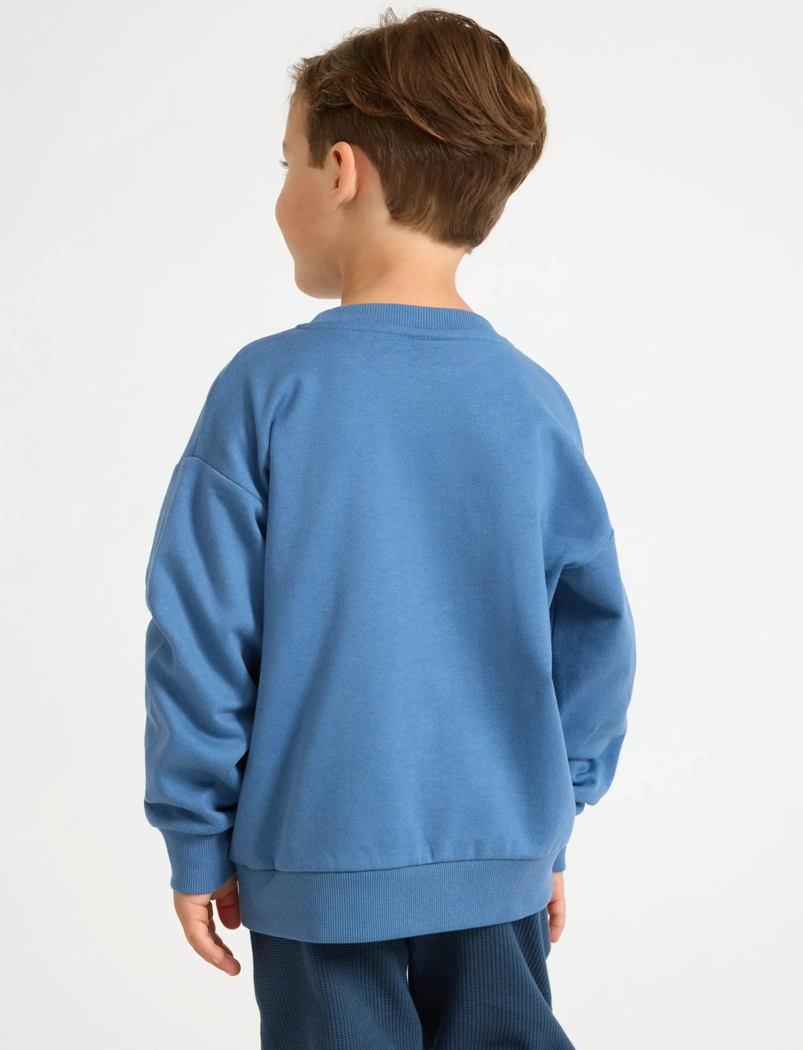 Lindex - Sweatshirt med applikation - sweatshirts - light dusty blue - 3