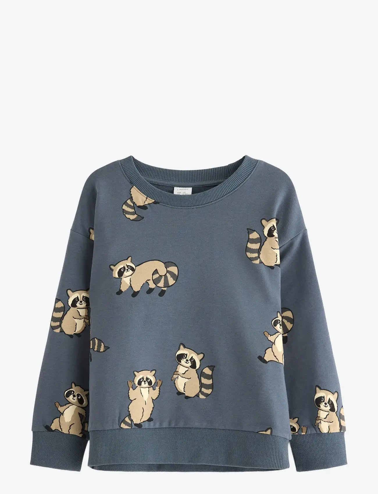 Lindex - Sweatshirt Racoon - dark grey - 1