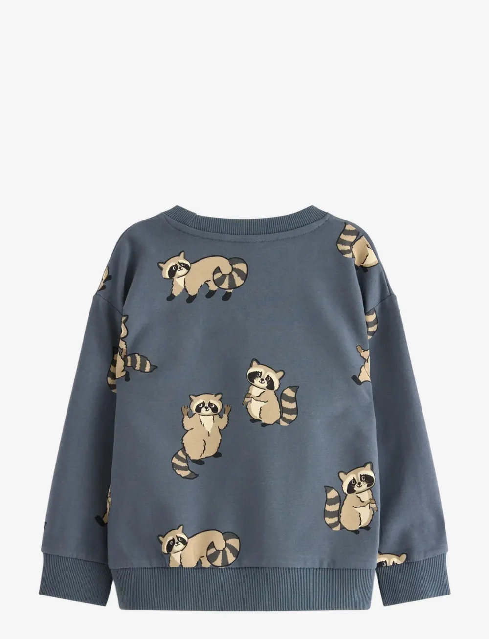 Lindex - Sweatshirt Racoon - sweatshirts - dark grey - 1