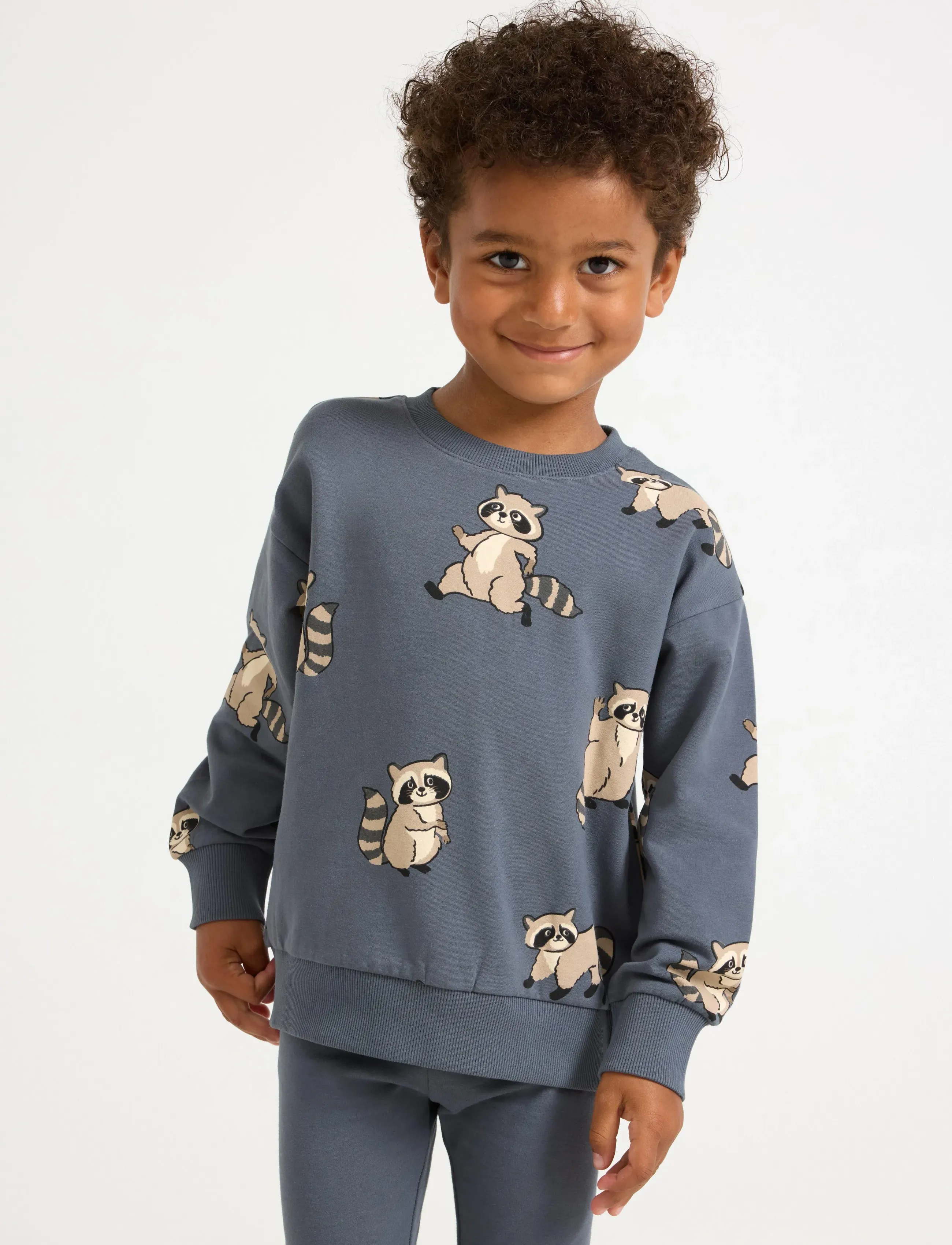 Lindex Sweatshirt Racoon - Sweatshirts & Kapuzenpullover - DARK GREY / blue