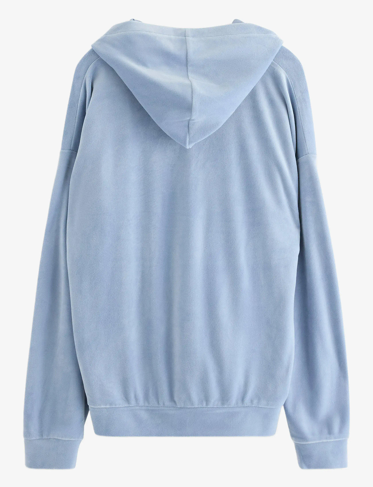 Lindex - Sweatshirt hood velour - kapuutsiga dressipluusid - light blue - 2