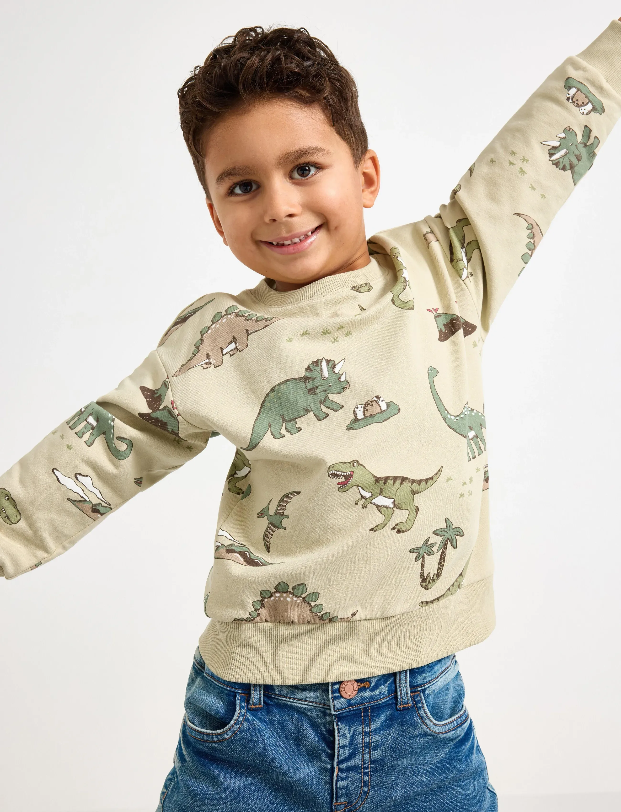 Lindex Sweatshirt Dino Aop, 92, Beige, Sweatshirts & Hættetrøjer > Sweatshirts, Børn