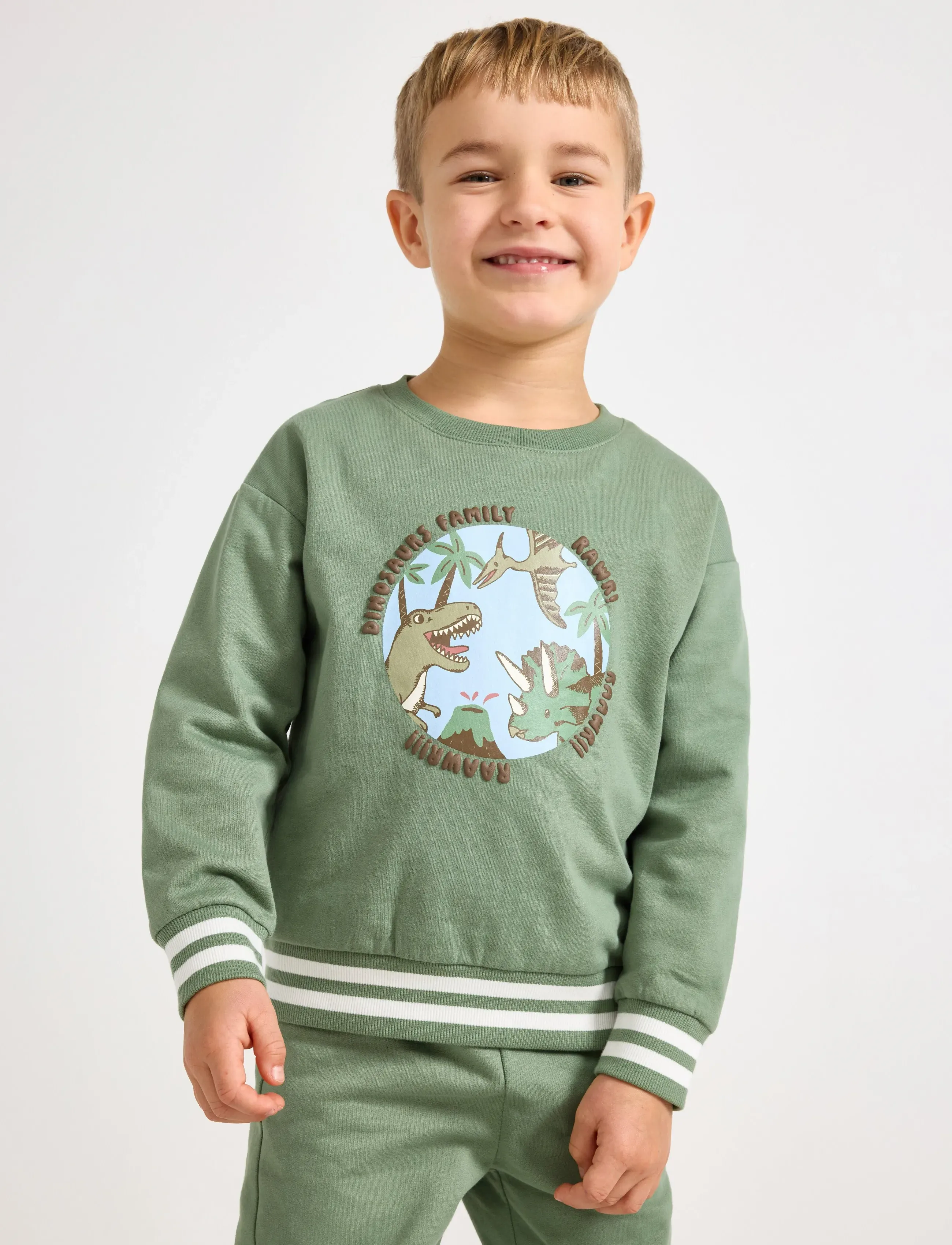 Lindex Sweatshirt Dino Placement, 92, Green, Sweatshirts & Hættetrøjer > Sweatshirts, Børn