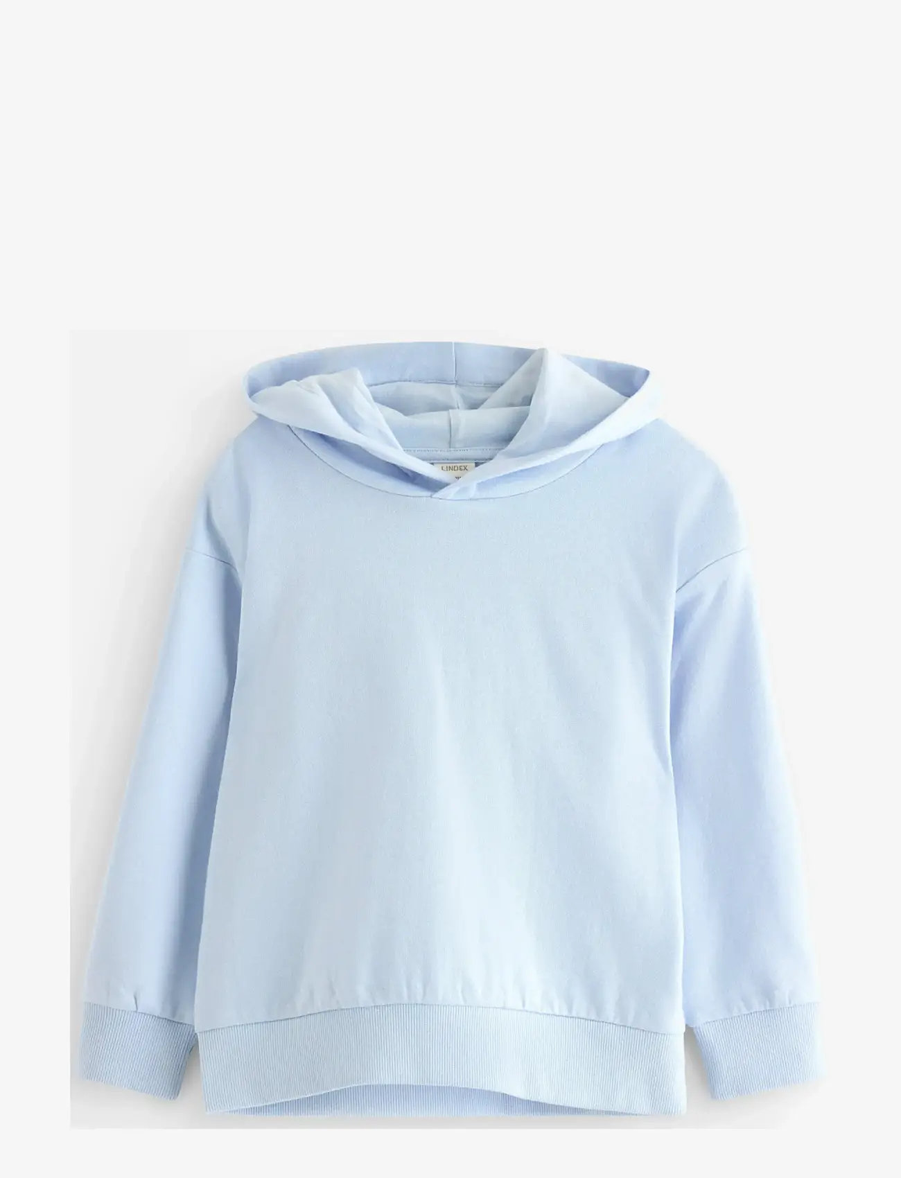 Lindex - Sweatshirt hoodie - huvtröjor - light blue - 1