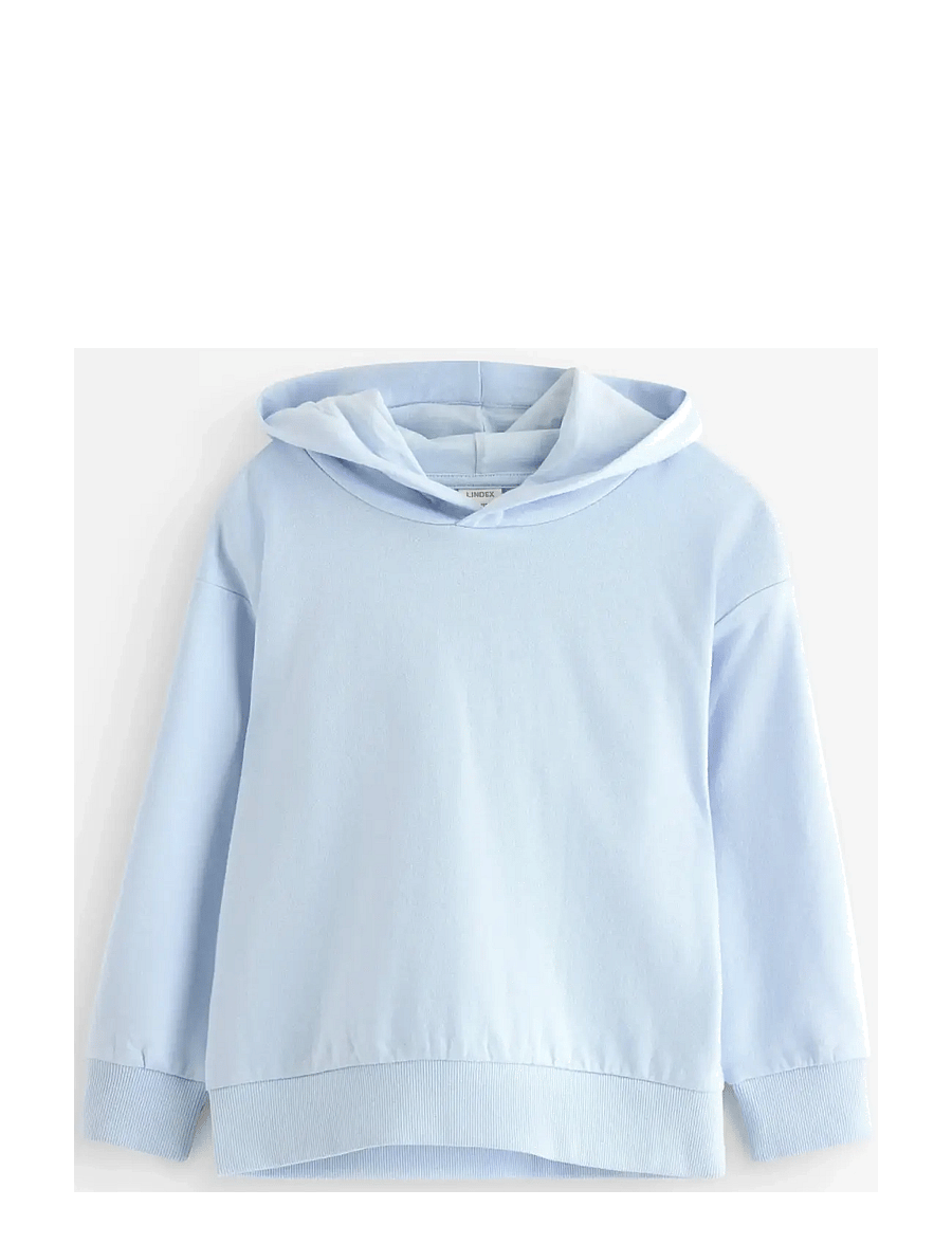 Lindex - Sweatshirt hoodie - huvtröjor - light blue - 1