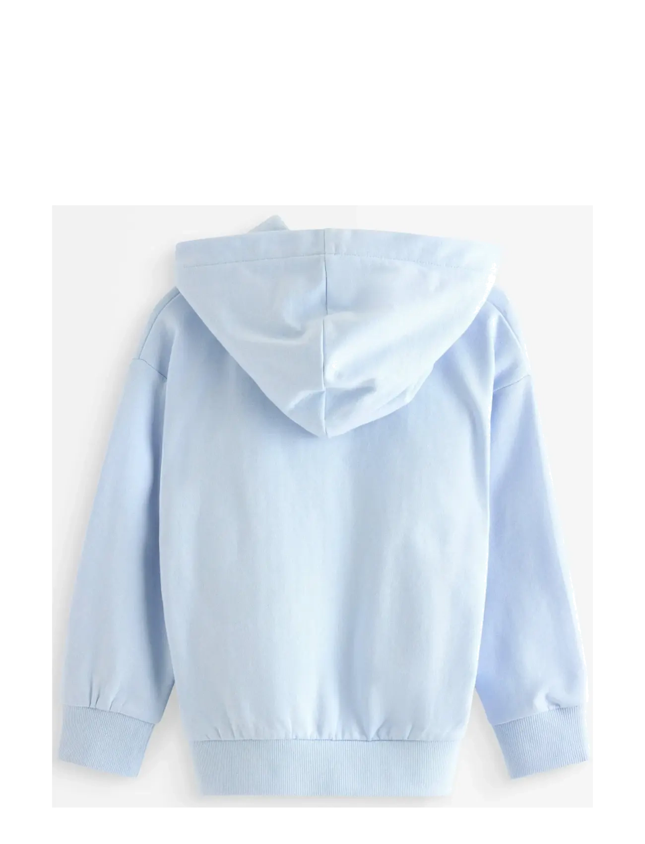 Lindex - Sweatshirt hoodie - kapuutsiga dressipluusid - light blue - 2