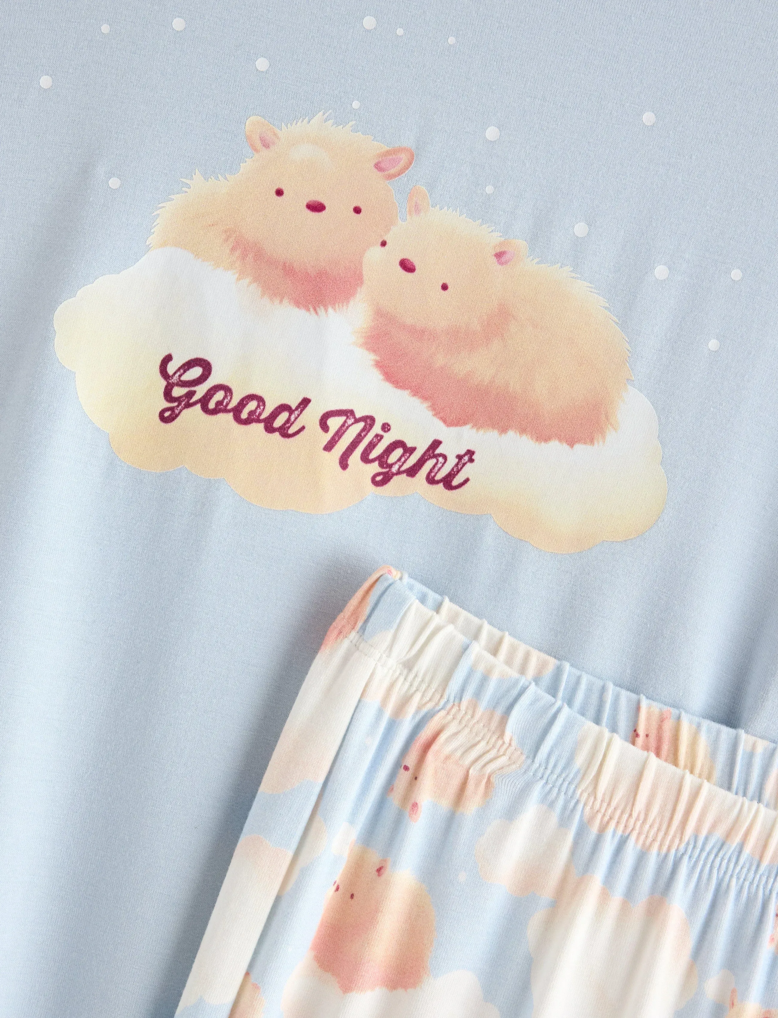 Lindex - Pyjama set capybara print - light blue - 5