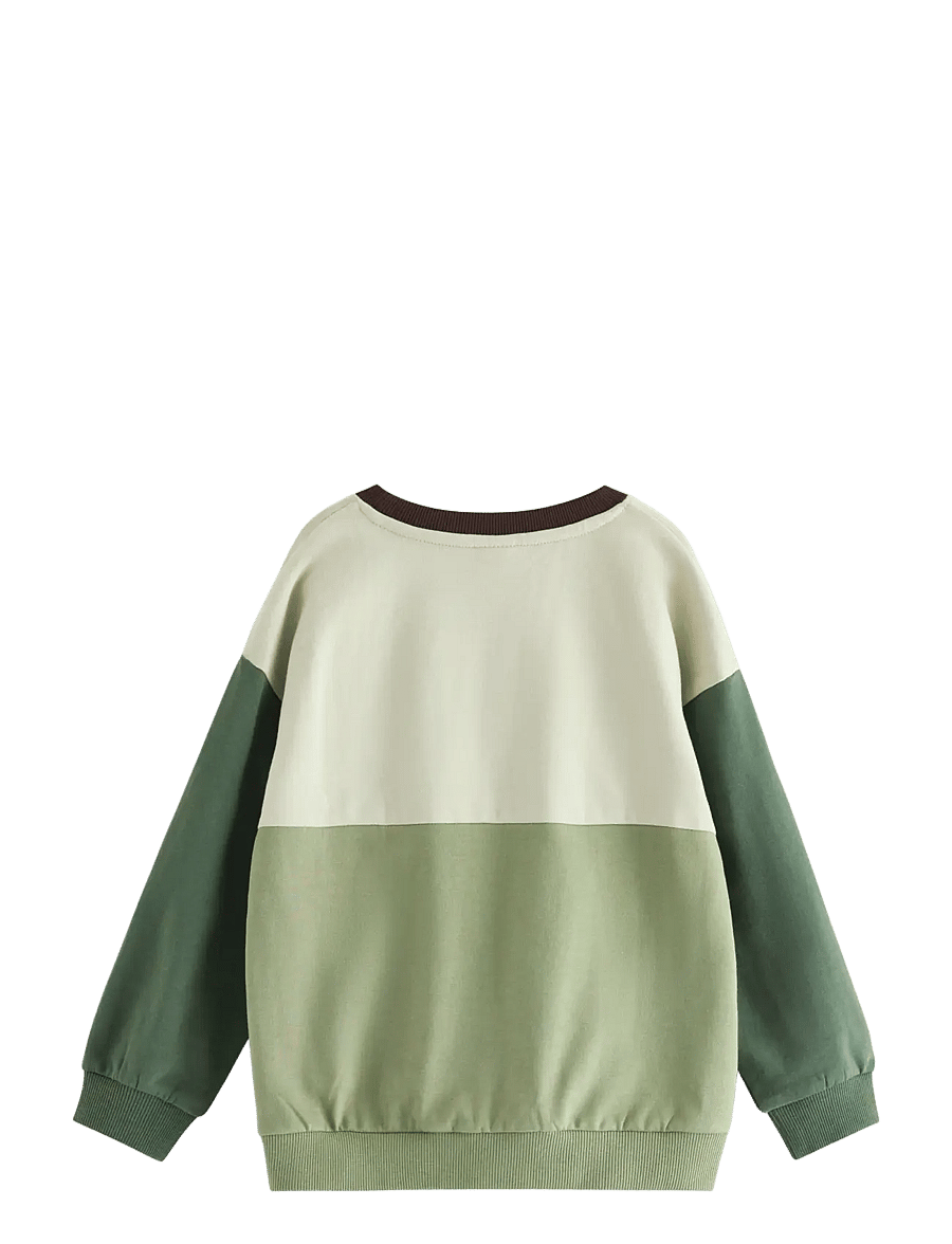 Lindex - Sweatshirt with brushed inside - sweatshirts - light dusty green - 2
