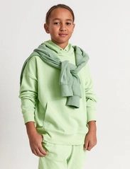 Lindex - Sweatshirt Ocean hood gelato - huvtröjor - light green - 0