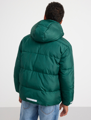 Lindex - Jacket puffer - wyściełana kurtka - dark green - 3