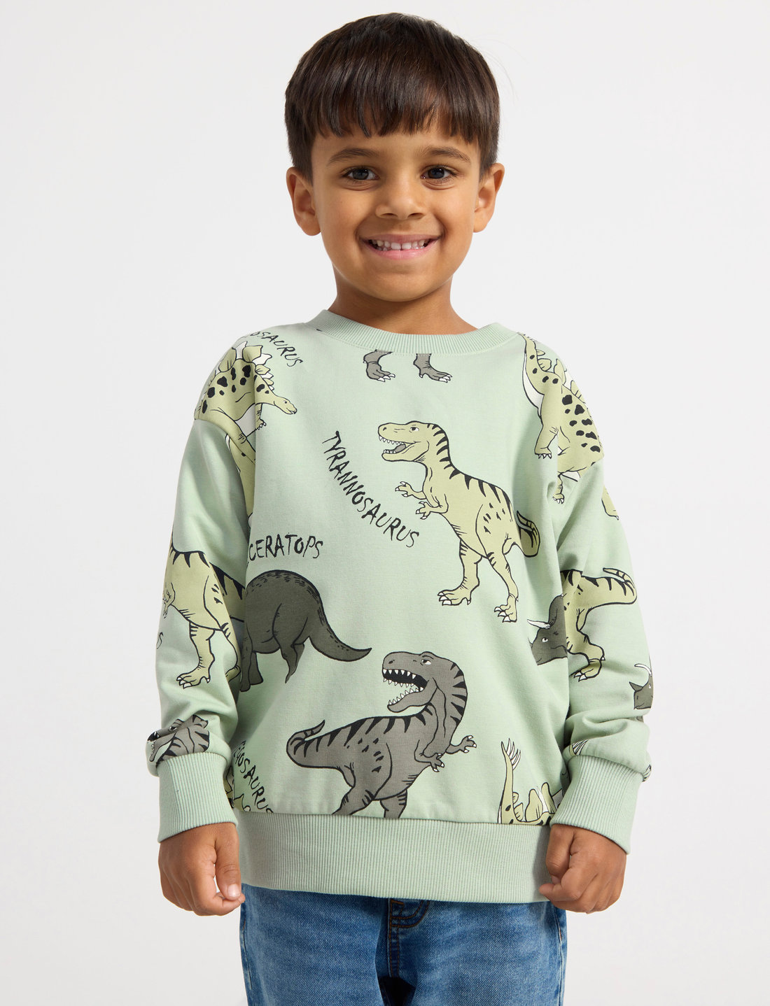 Sweatshirt dino 2025