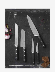 Lion Sabatier - Knife set Pluton 5-pack - peilių rinkiniai - steel/black - 5