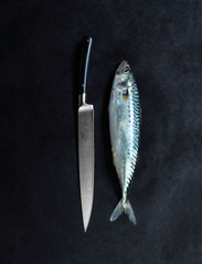 Lion Sabatier - Fillet knife Edonist 18cm - fillet knives - steel/black - 3