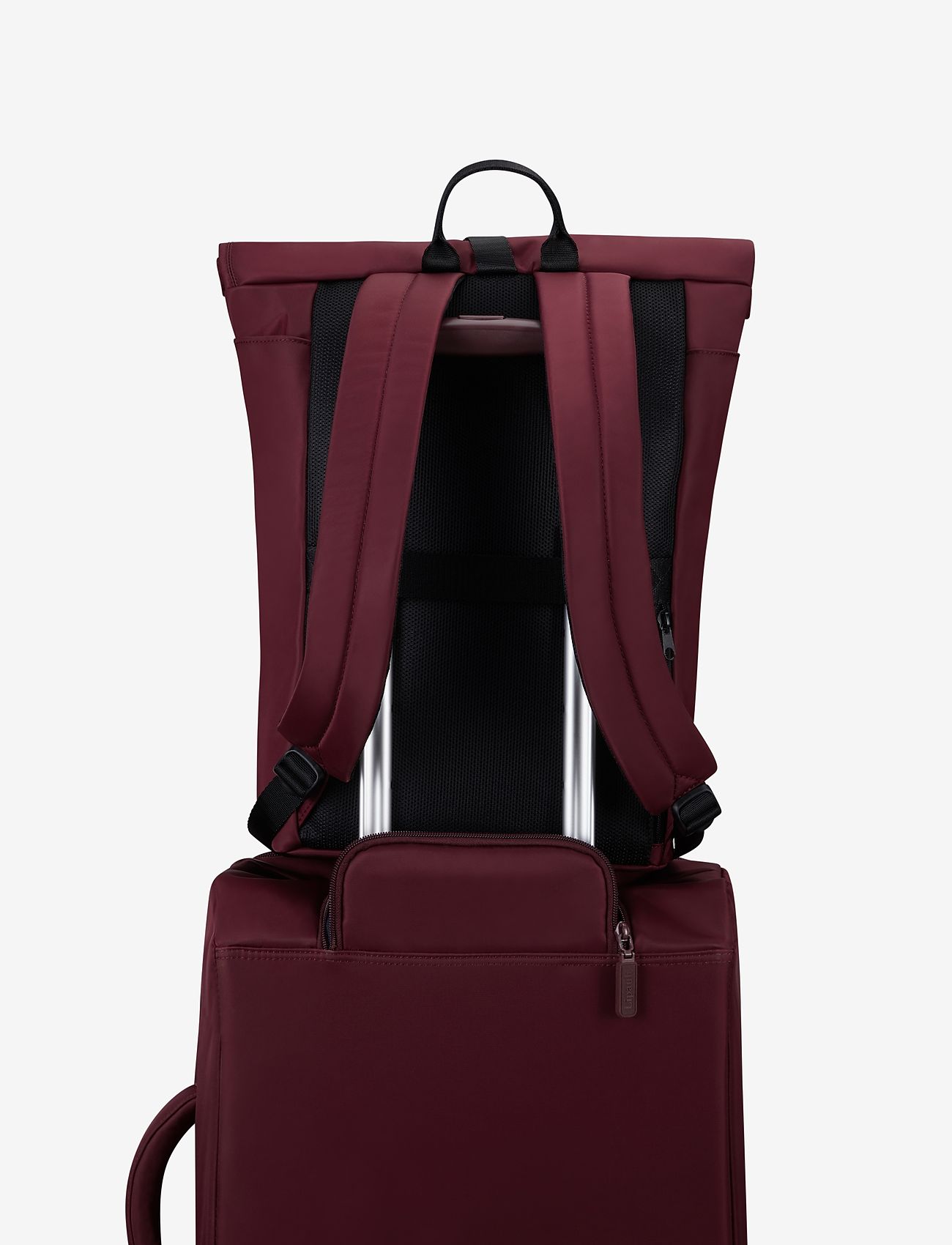 Lipault - CITY PLUME ROLLTOP BACKPACK - bordeaux - 5