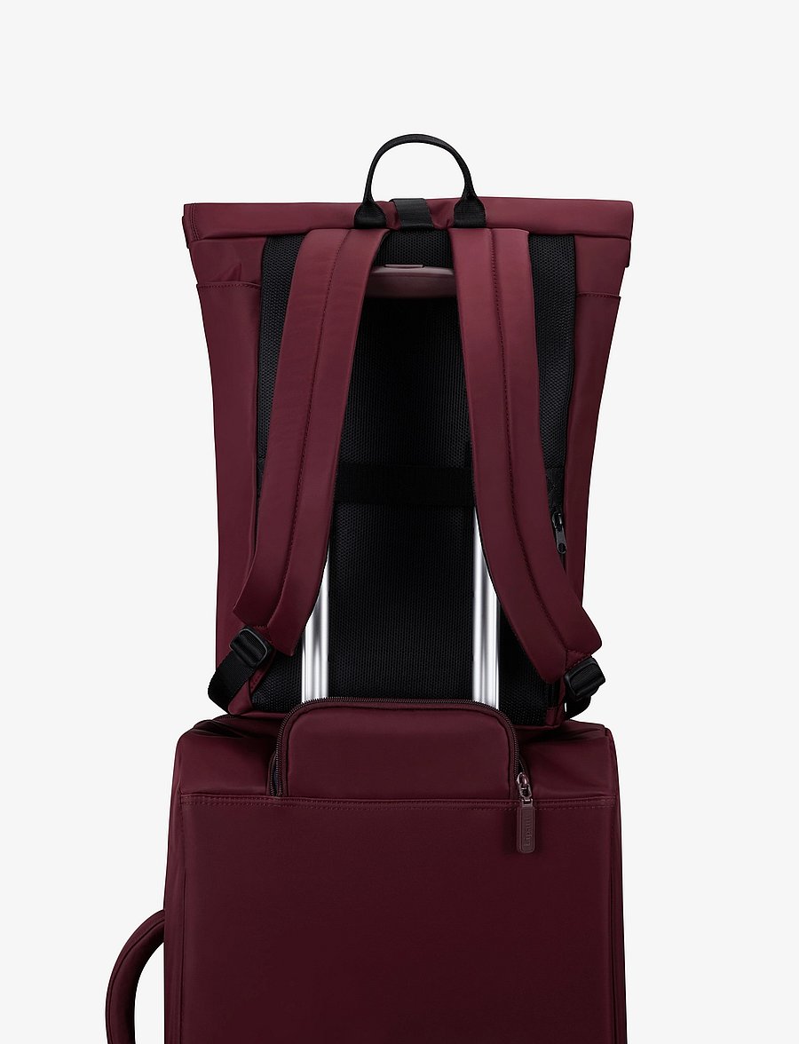 Lipault - CITY PLUME ROLLTOP BACKPACK - osta olukorra järgi - bordeaux - 5