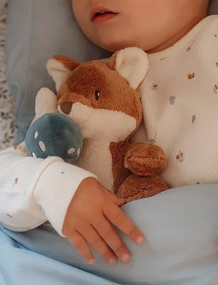 Little Dutch - Little Dutch Cuddle Fox Forest Friends GRS - mjukisdjur - blue - 0
