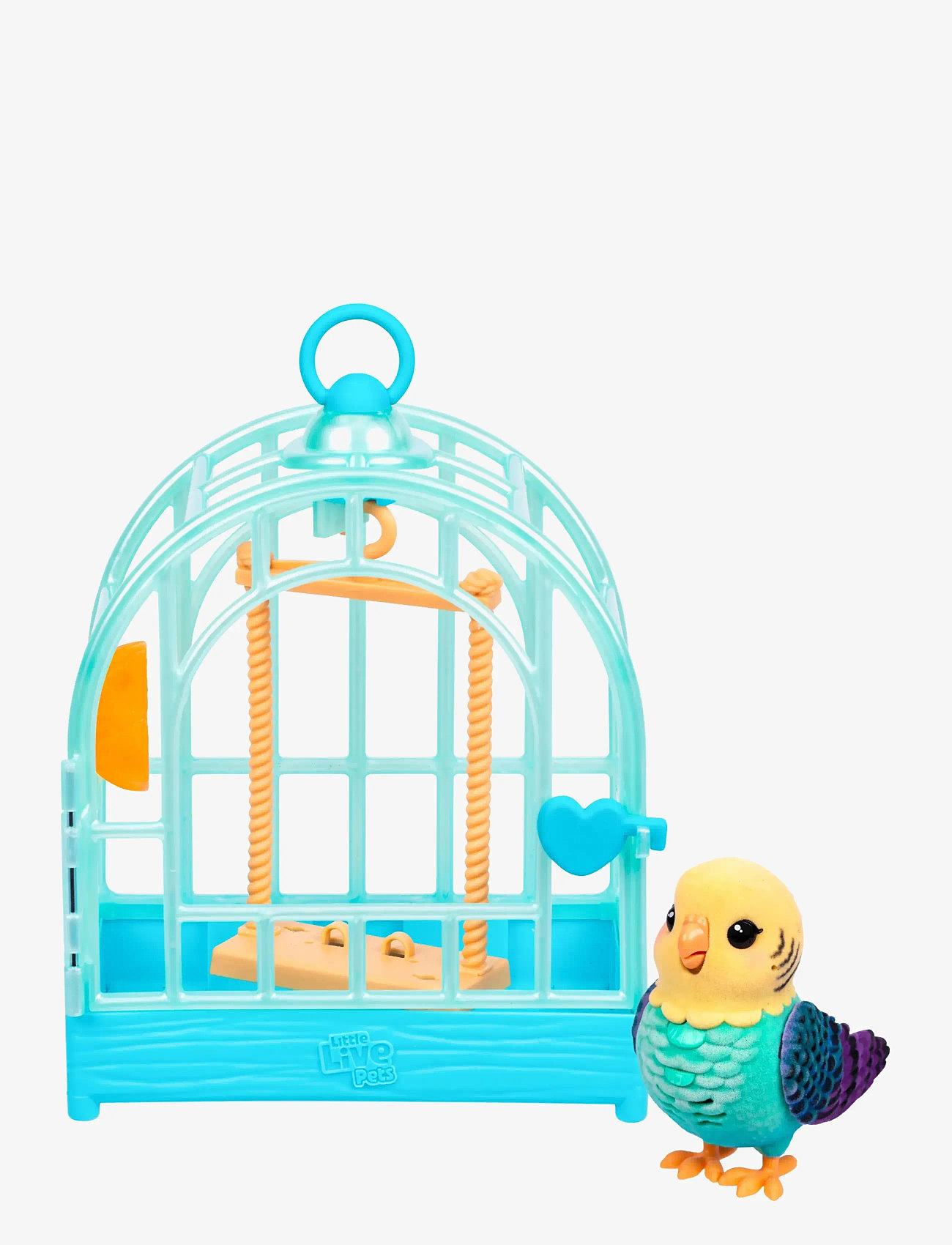 Beautiful view of Indie Light Vocal Bird Cage Designs For Pet Shops