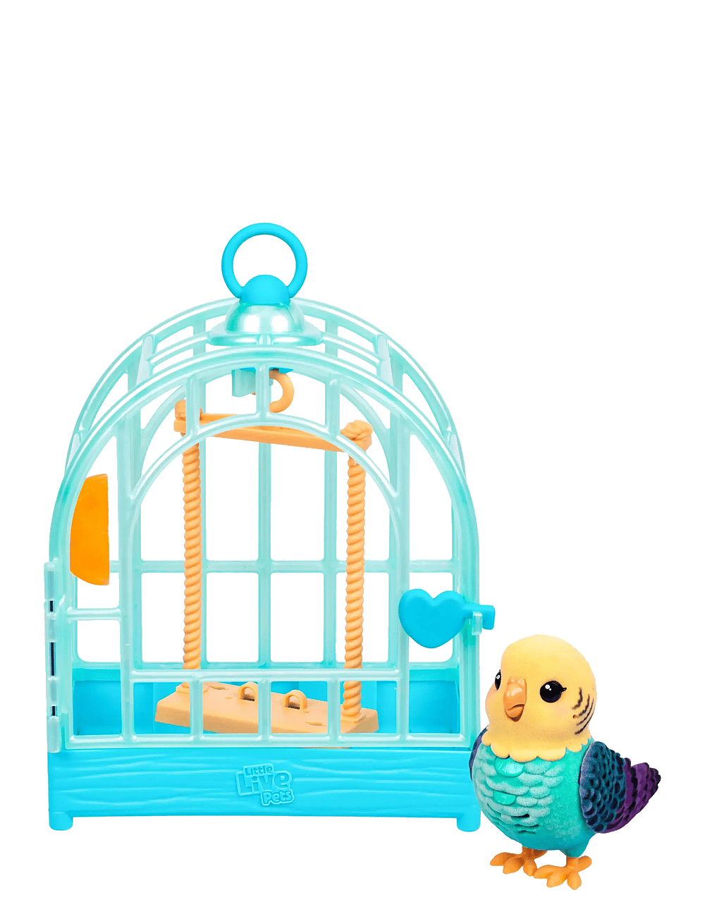 Beautiful view of Indie Light Vocal Bird Cage Designs For Pet Shops