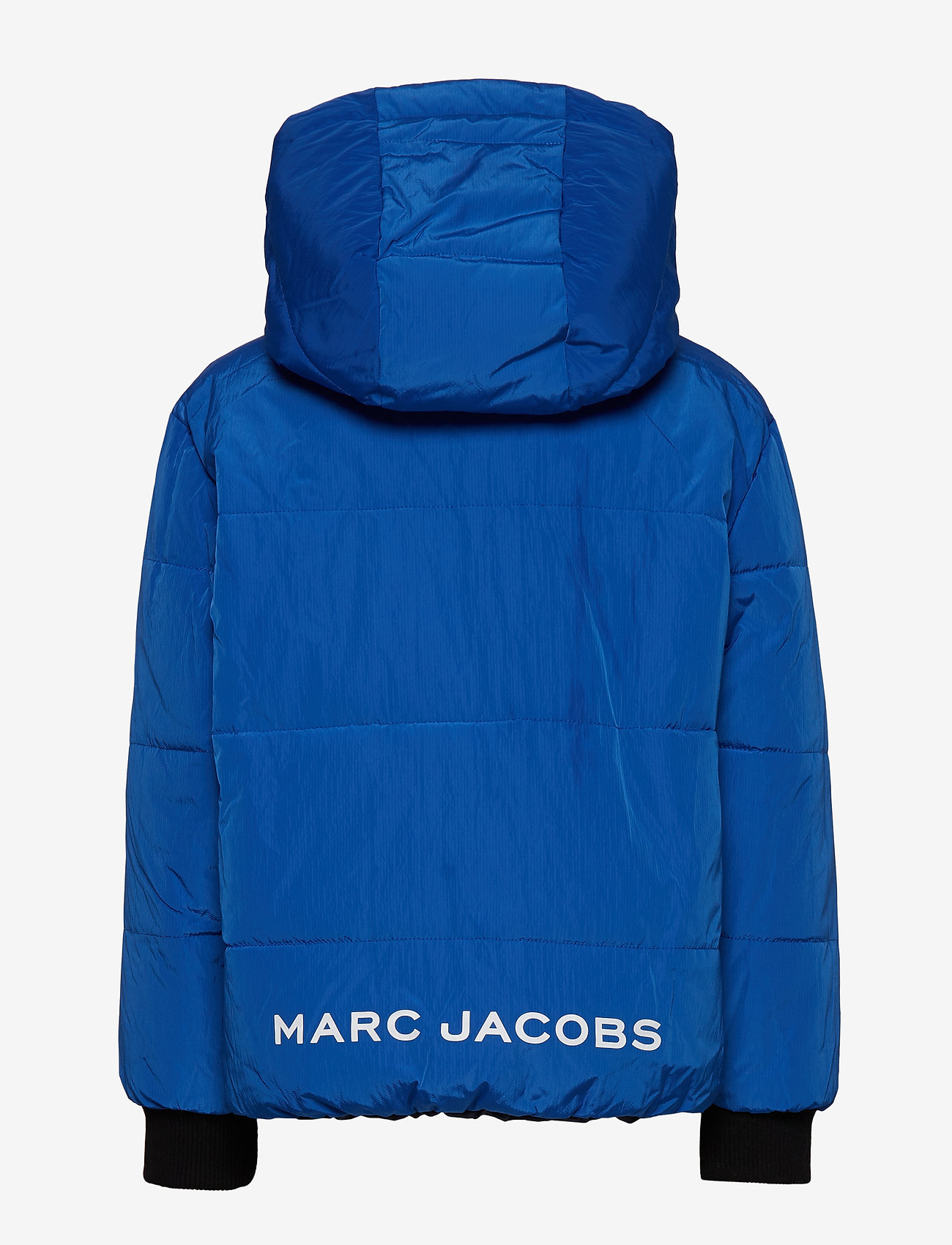 Little Marc Jacobs - REVERSIBLE PUFFER JACKET - navy  blue - 4
