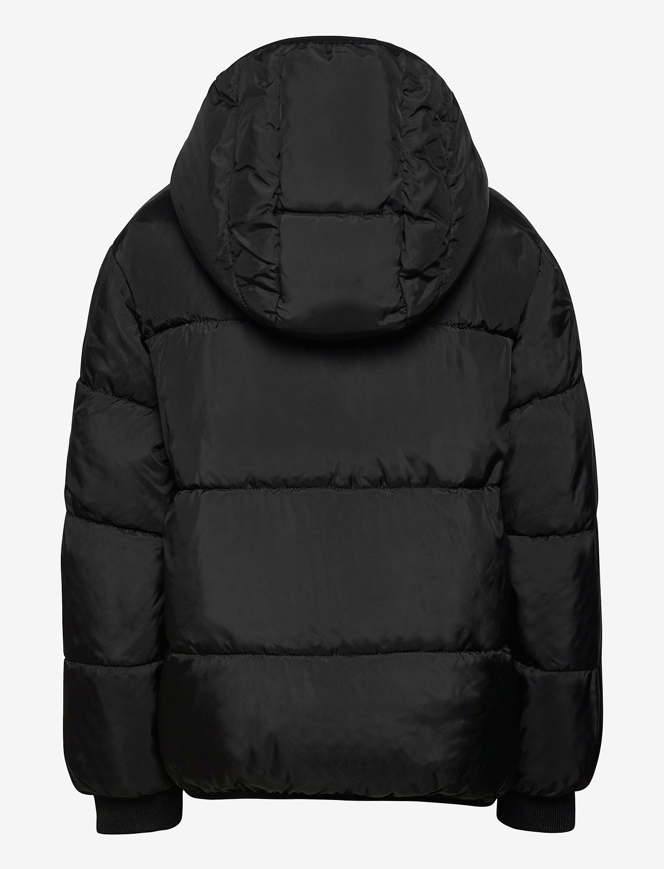 Little Marc Jacobs - REVERSIBLE PUFFER JACKET - black/blue - 1