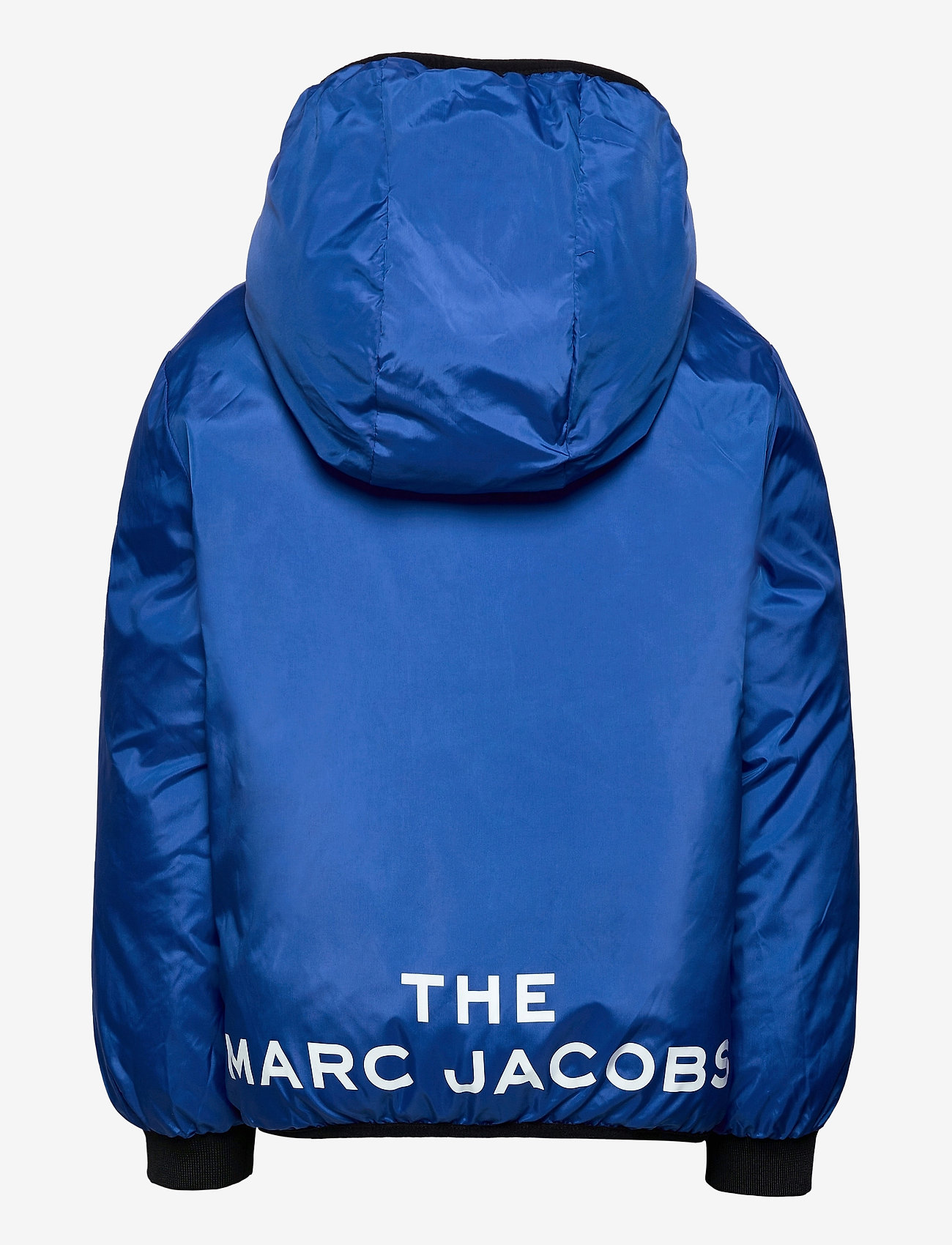 Little Marc Jacobs - REVERSIBLE PUFFER JACKET - black/blue - 3