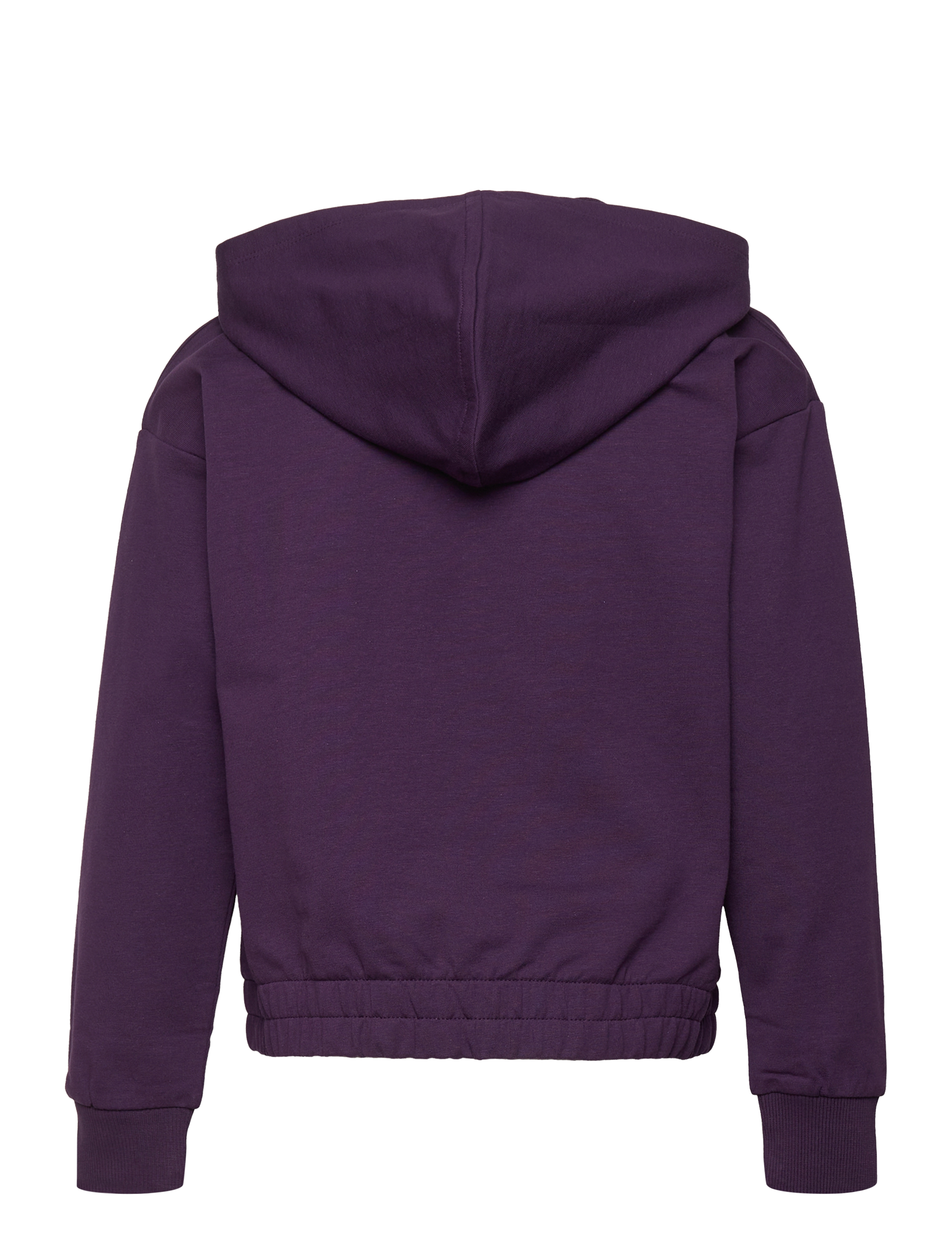 Little Pieces - PKANYA LS SWEAT HOODIE BC - blackberry cordial - 1
