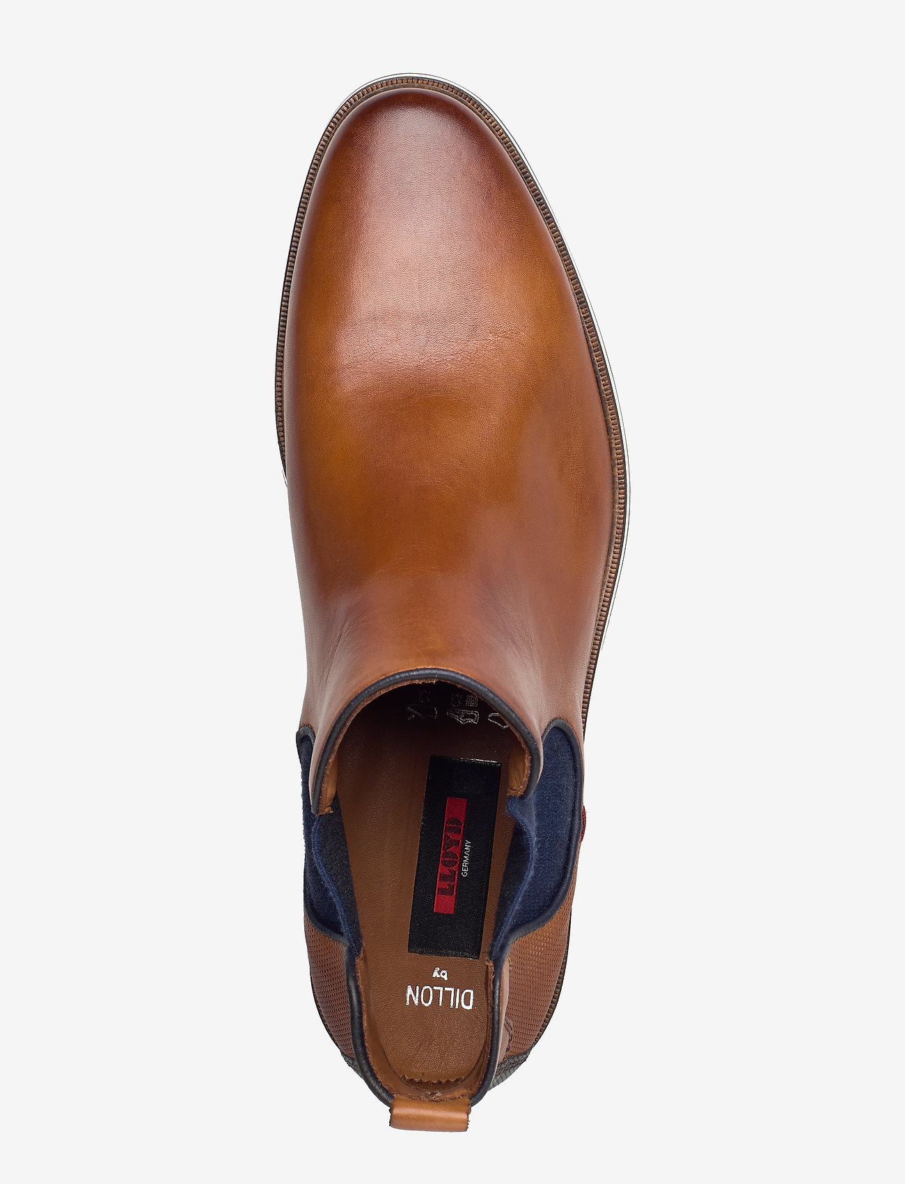 Lloyd - DILLON - 1 - cognac/pacific - 3