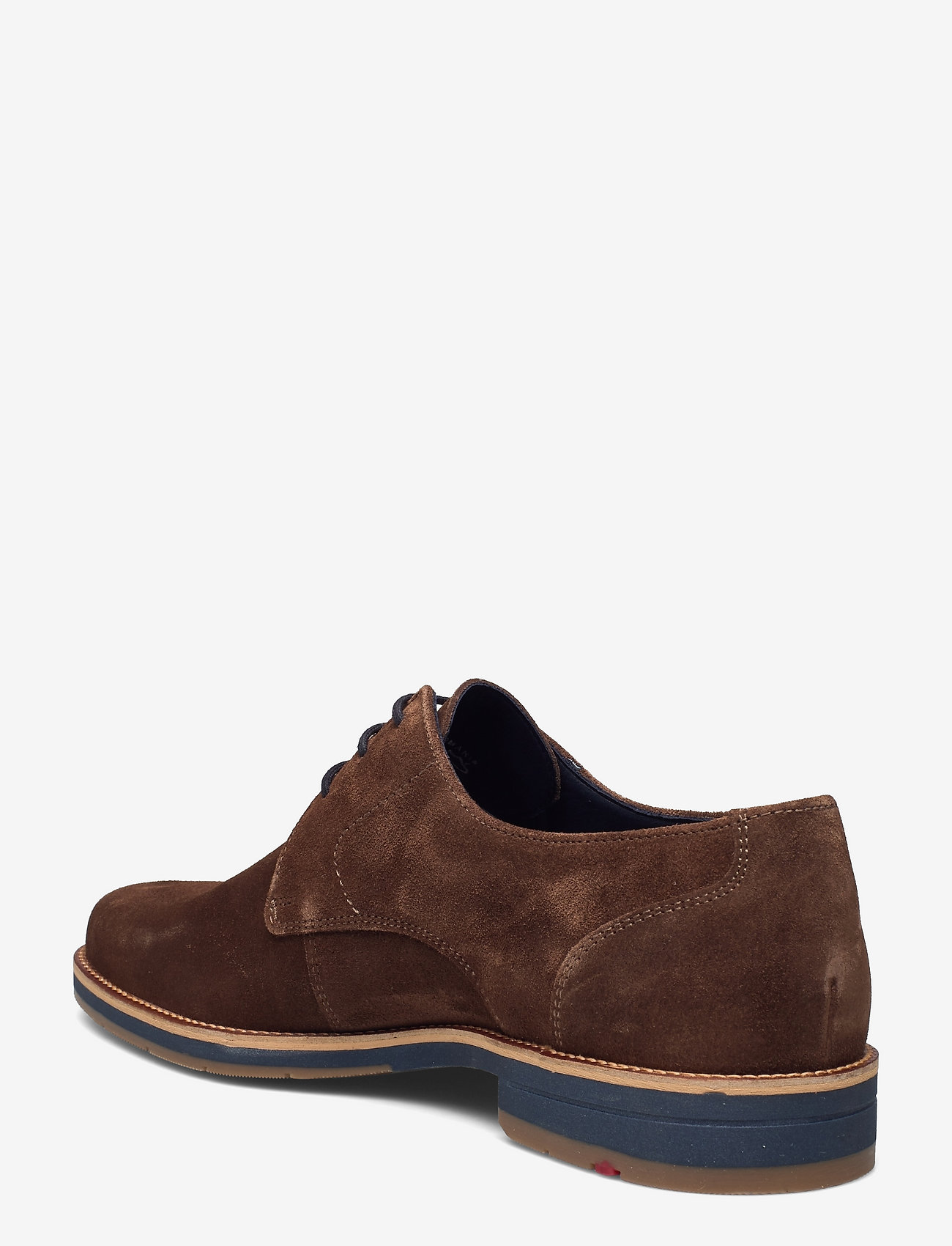 Lloyd - LANGSTON - derby stila apavi - 5 - havanna - 2