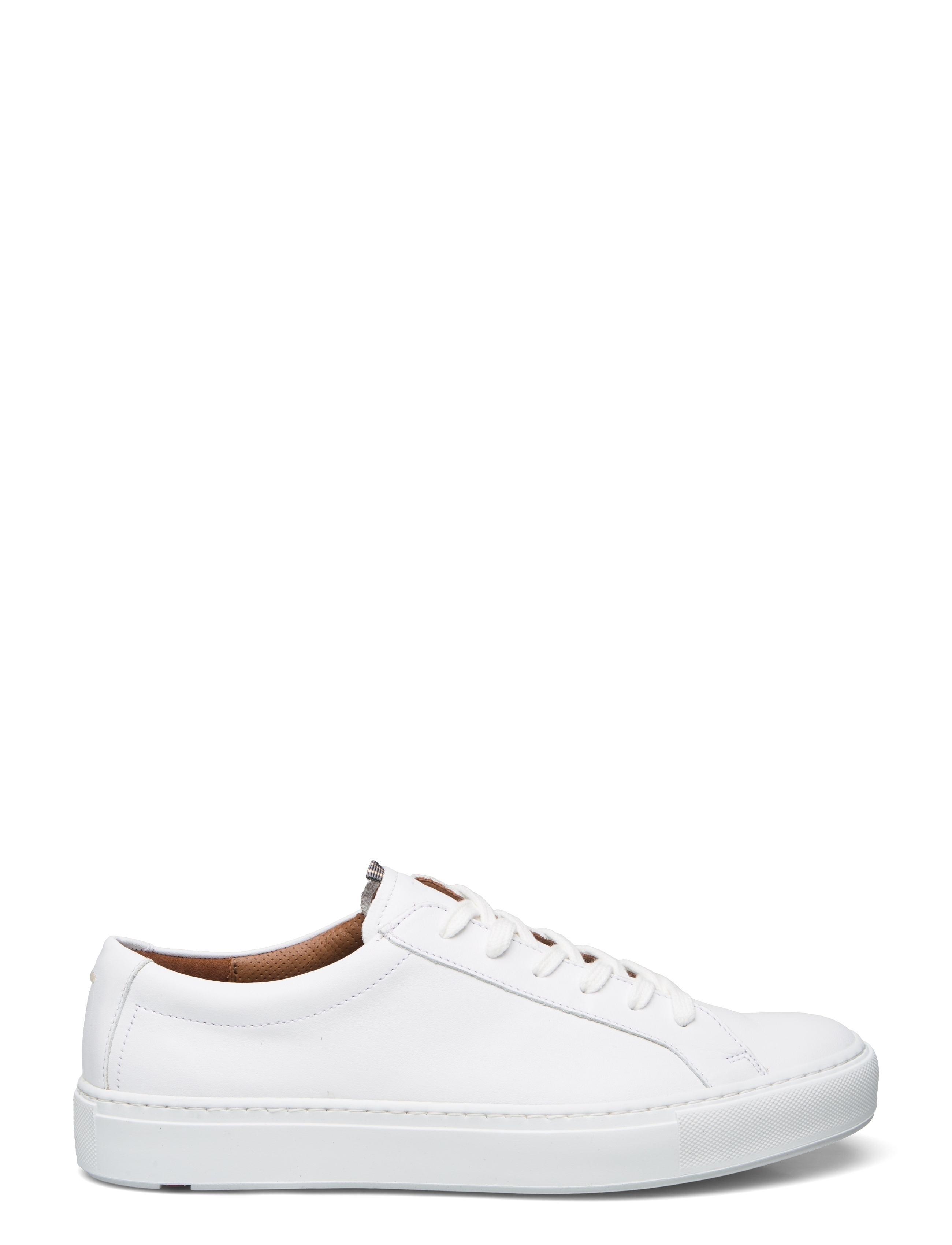 Lloyd - ABEL - 1 - white - 1