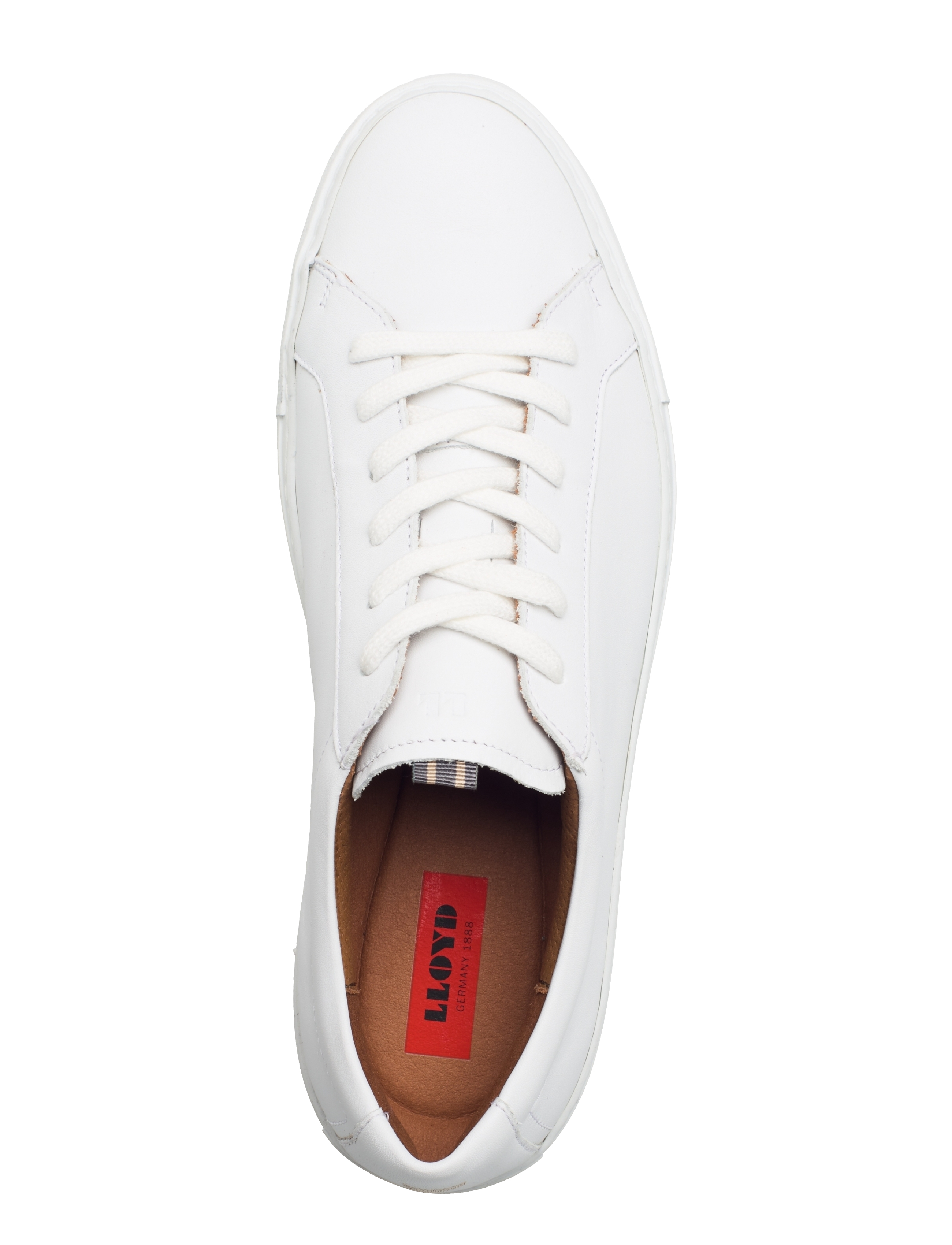 Lloyd - ABEL - 1 - white - 3
