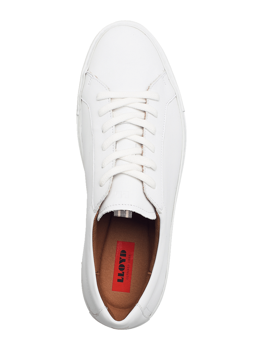 Lloyd - ABEL - 1 - white - 3