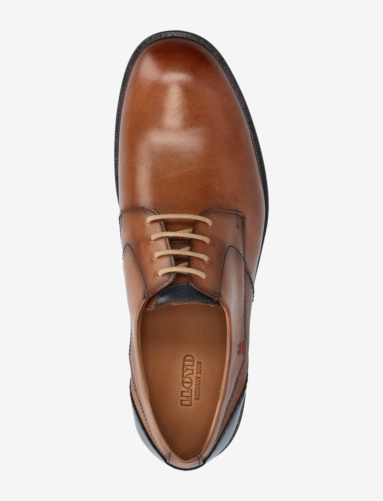 Lloyd - DOMINO - derby sko - 3 - camel/atlantic blue - 3