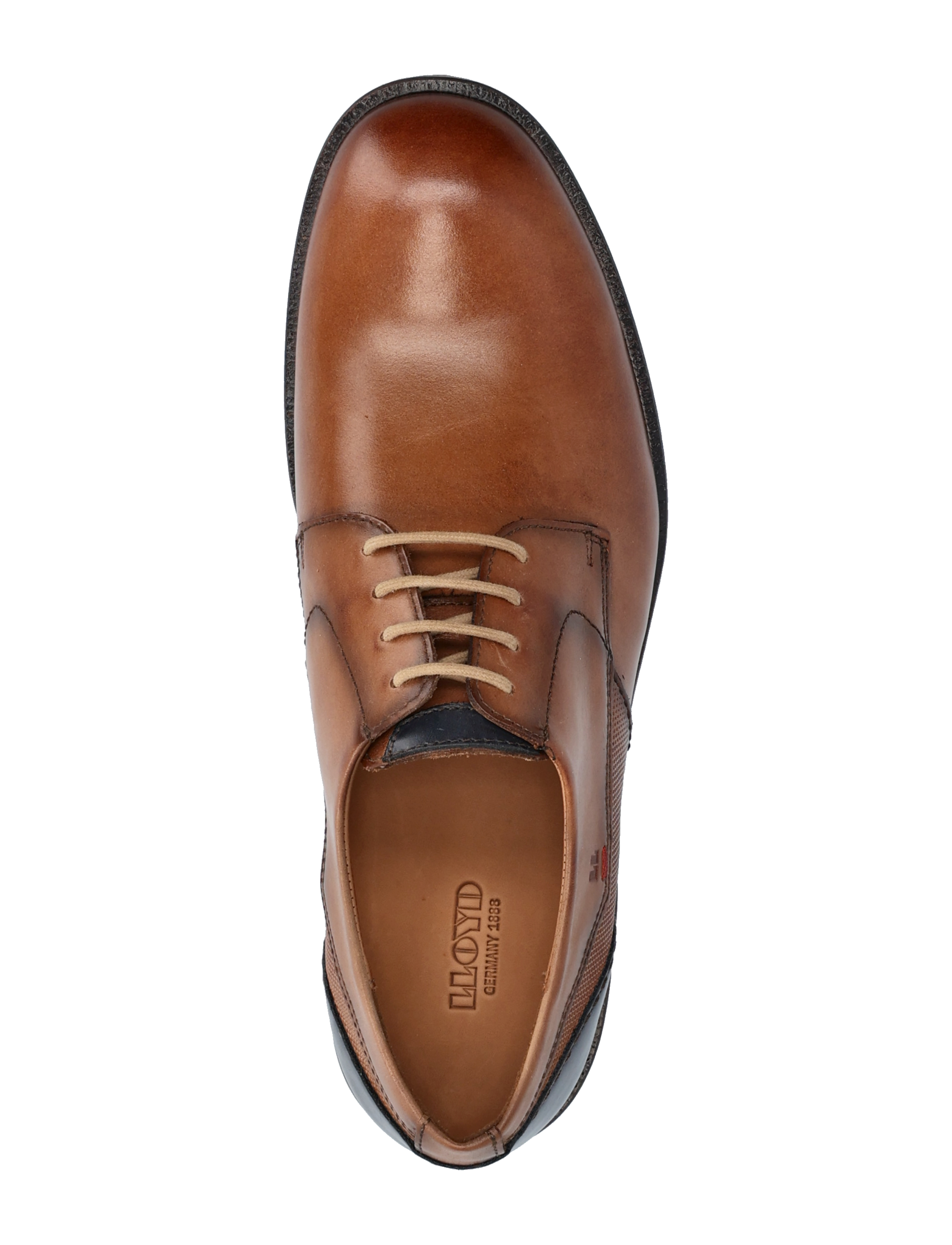 Lloyd - DOMINO - 3 - camel/atlantic blue - 3