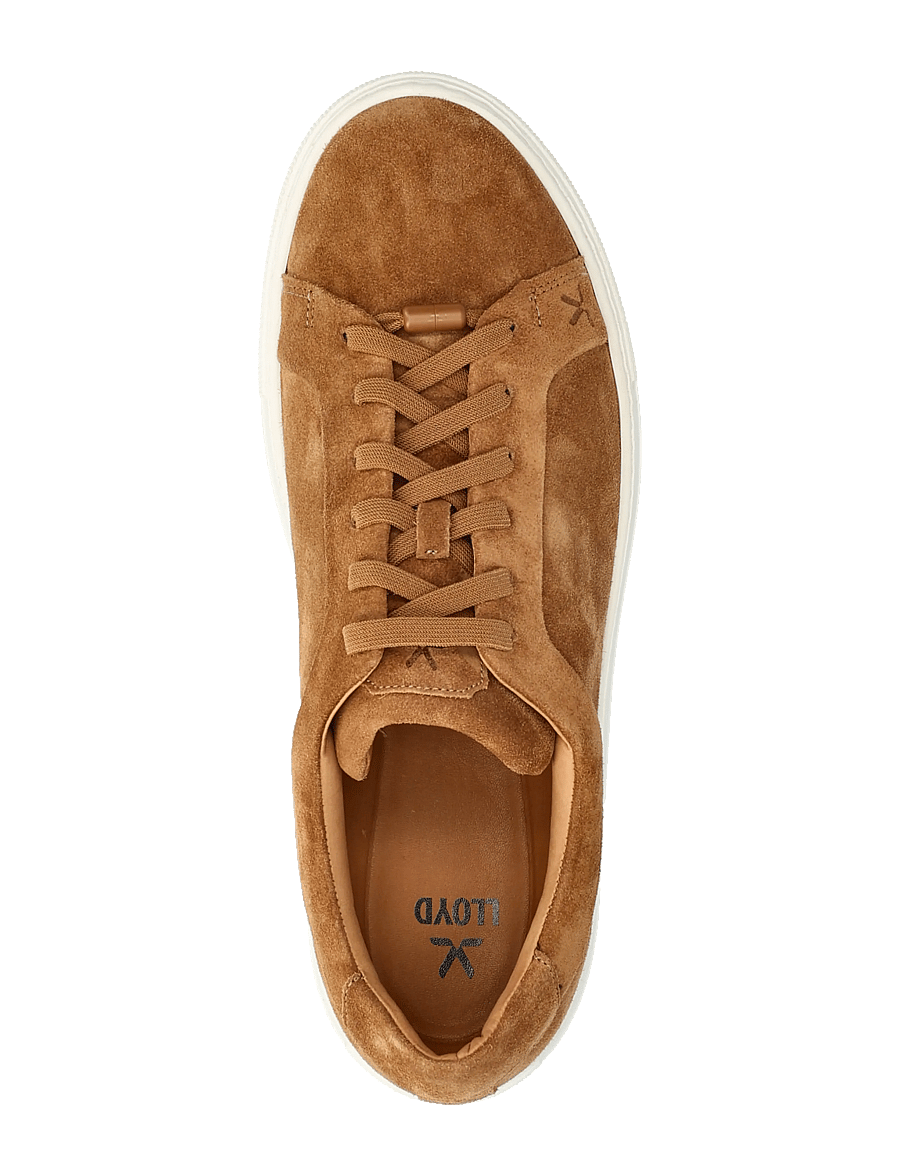 Lloyd - ALABAMA - low tops - 3 - camel - 3