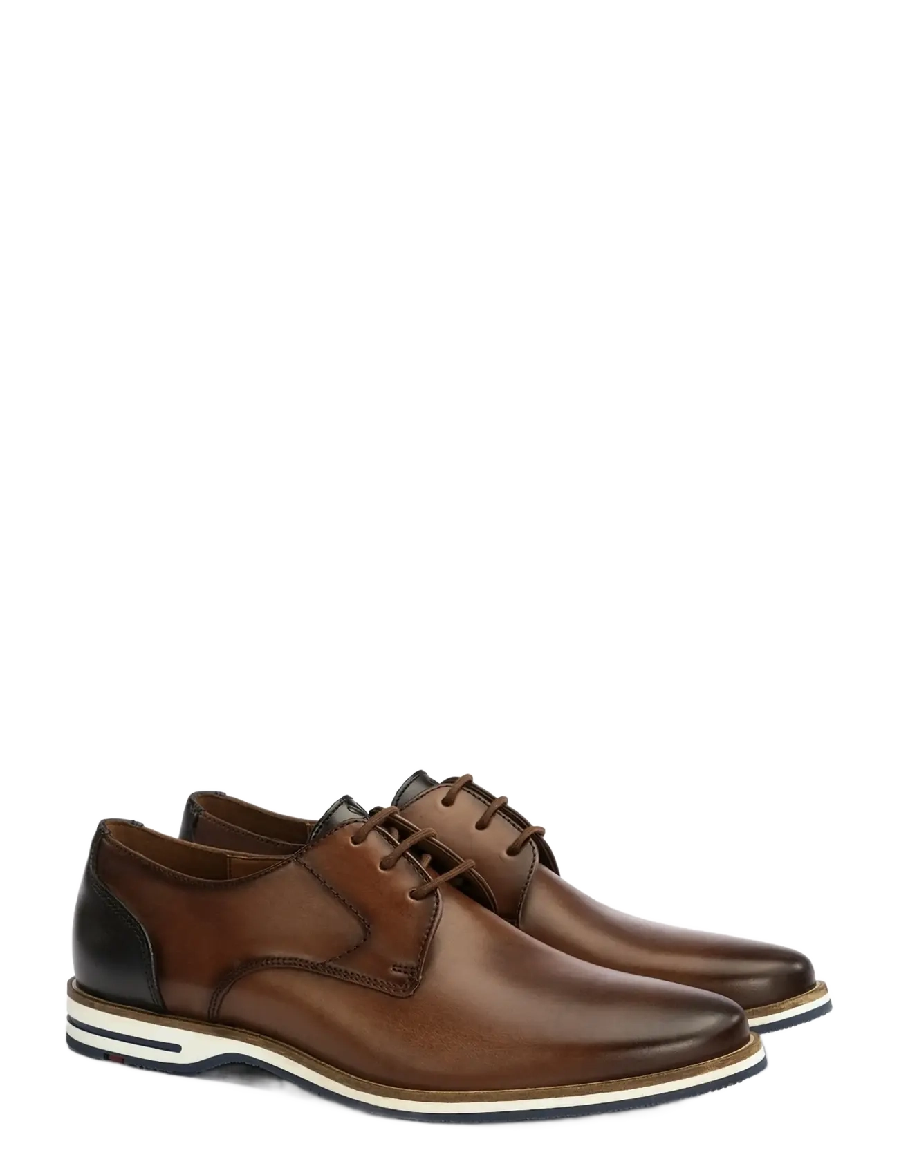 Lloyd BOSCO - Business - 5 - DK.BROWN/NAVY / brown